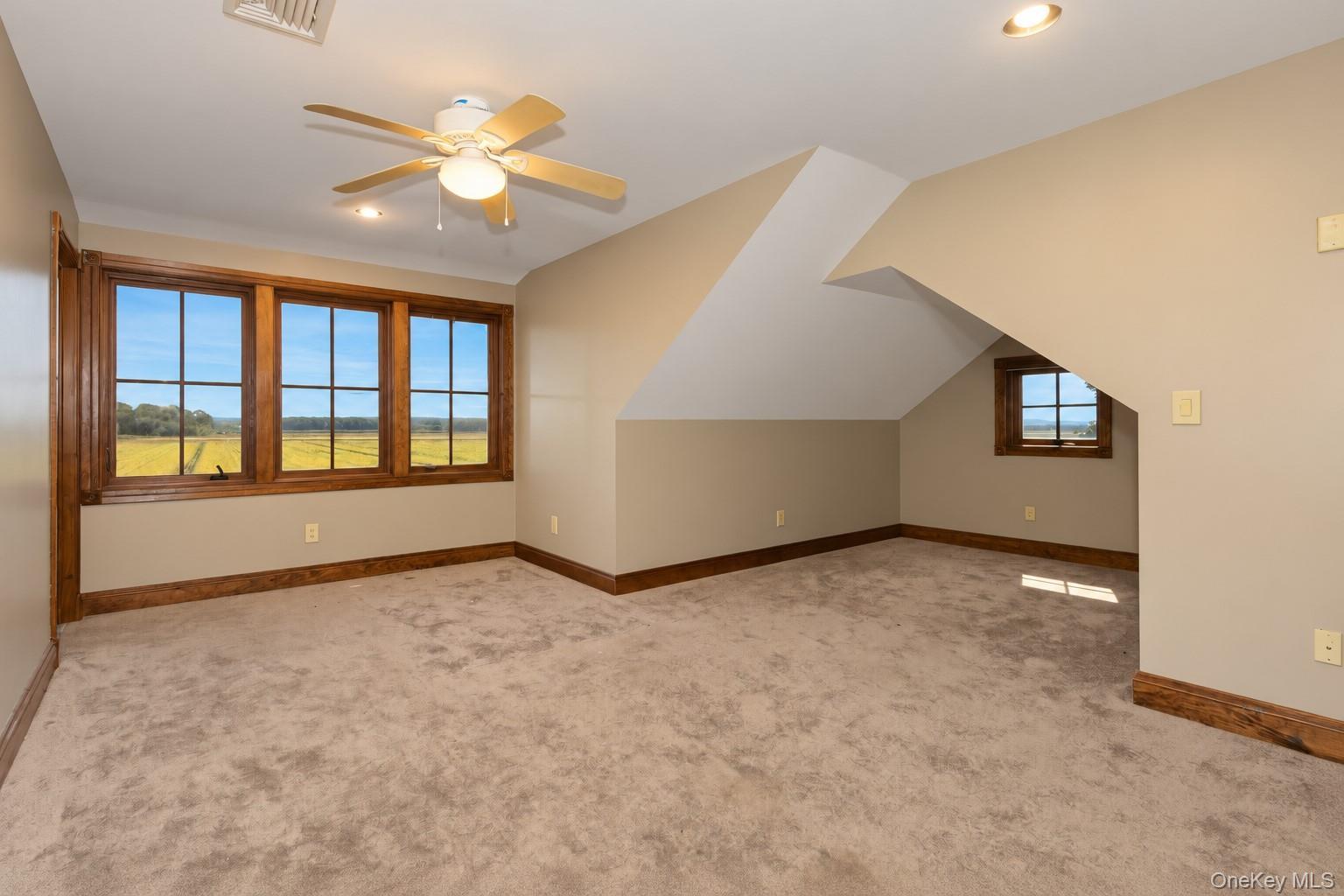 Single Family Celery Avenue  Orange County, NY 10958, MLS-1054233-23