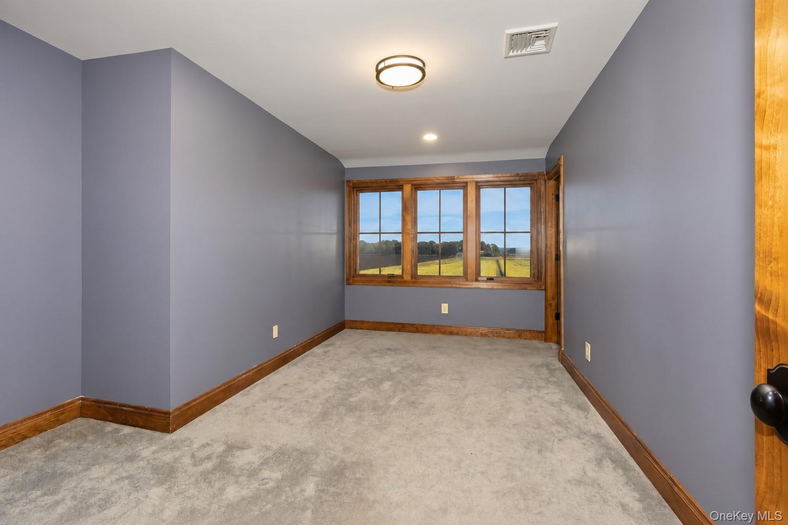 Single Family Celery Avenue  Orange County, NY 10958, MLS-1054233-26