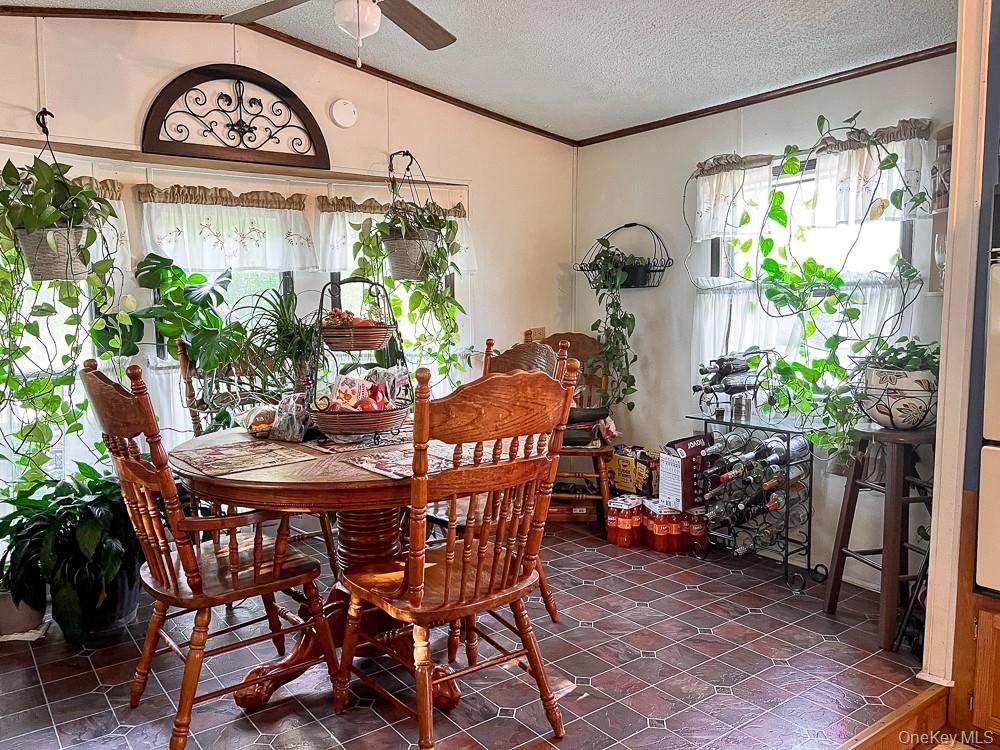 Single Family Seeman Road Sullivan County, NY 12765, MLS-1054327-10