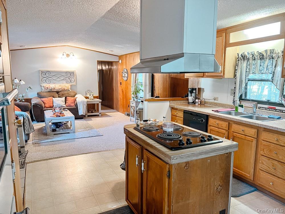 Single Family Seeman Road Sullivan County, NY 12765, MLS-1054327-12