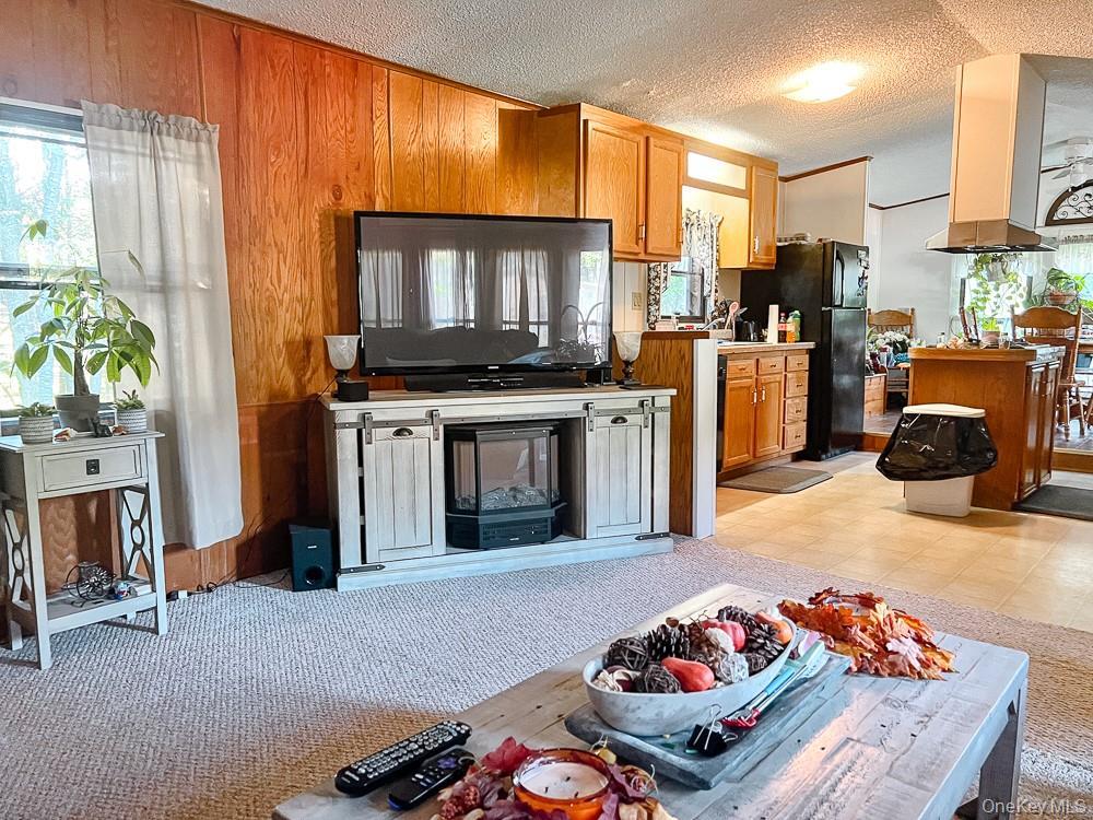 Single Family Seeman Road Sullivan County, NY 12765, MLS-1054327-13