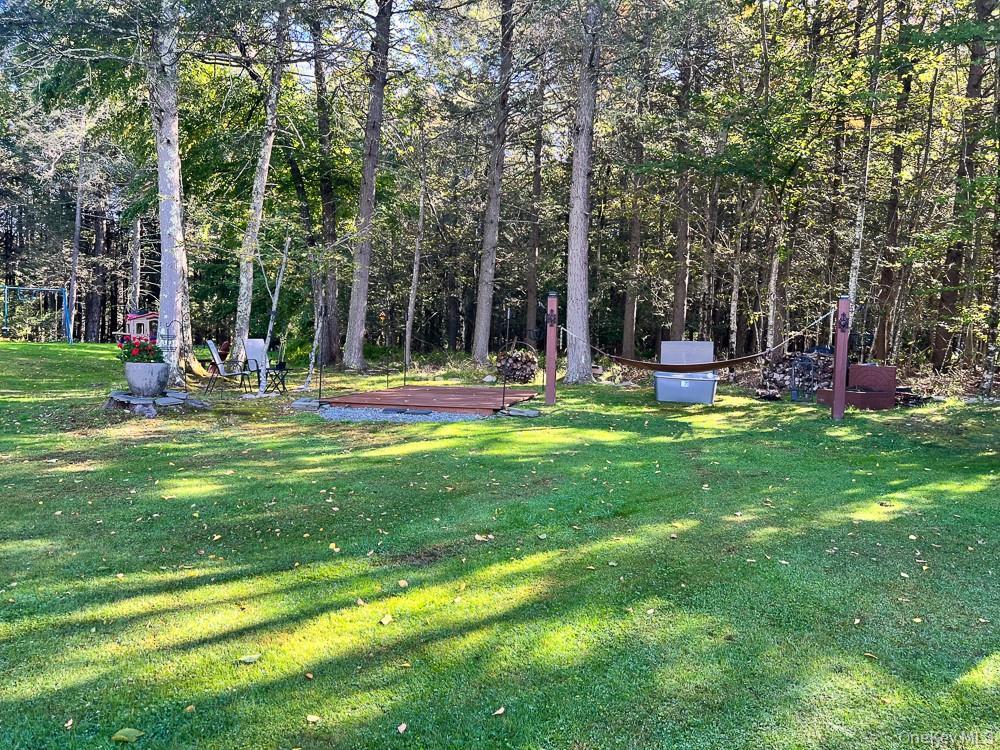Single Family Seeman Road Sullivan County, NY 12765, MLS-1054327-25