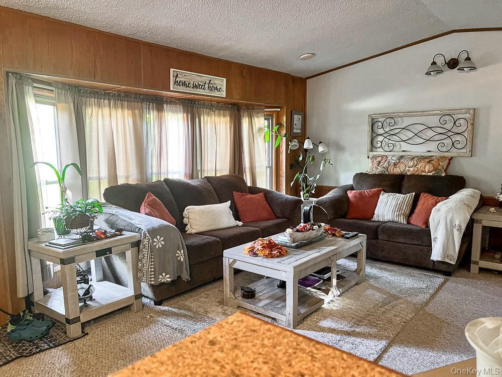 Single Family Seeman Road Sullivan County, NY 12765, MLS-1054327-3