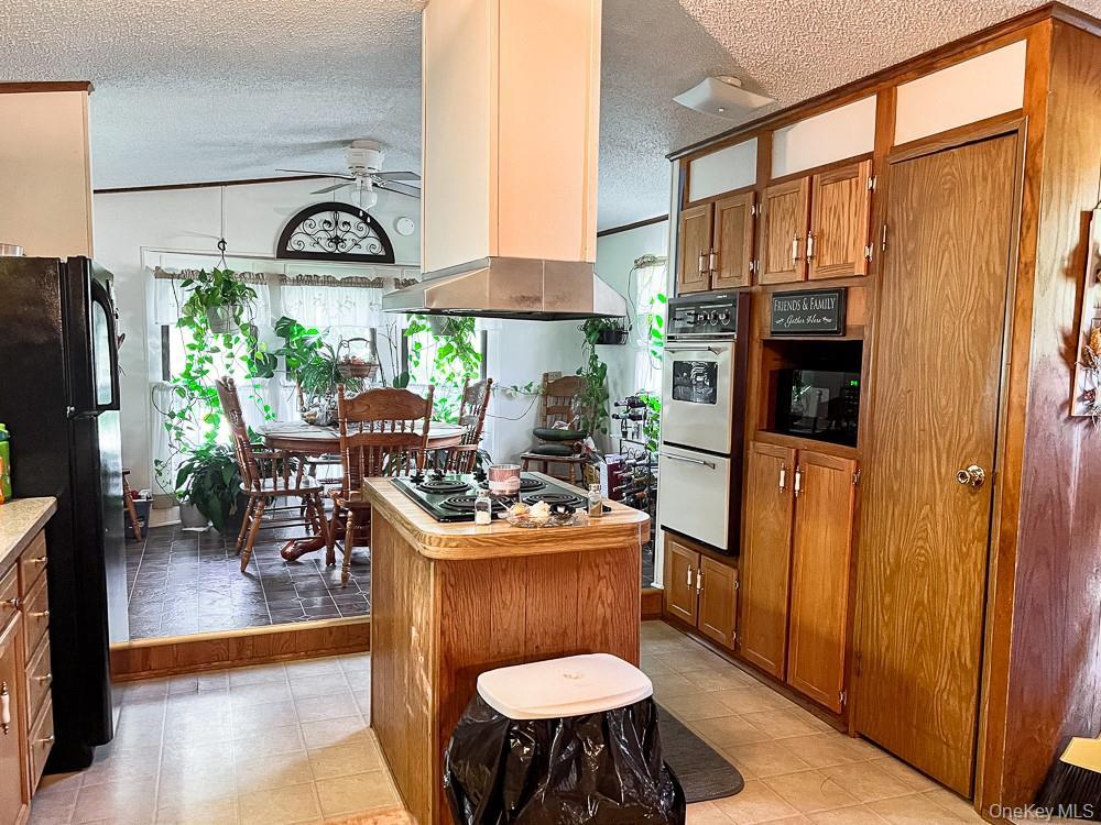 Single Family Seeman Road Sullivan County, NY 12765, MLS-1054327-7