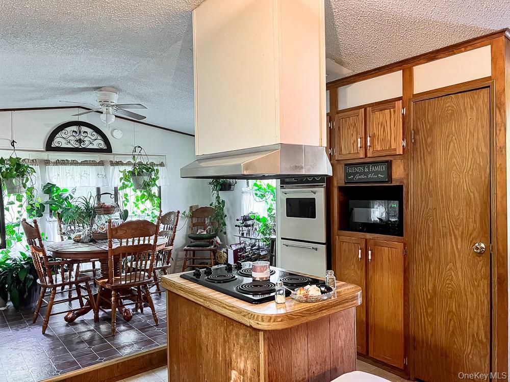 Single Family Seeman Road Sullivan County, NY 12765, MLS-1054327-9