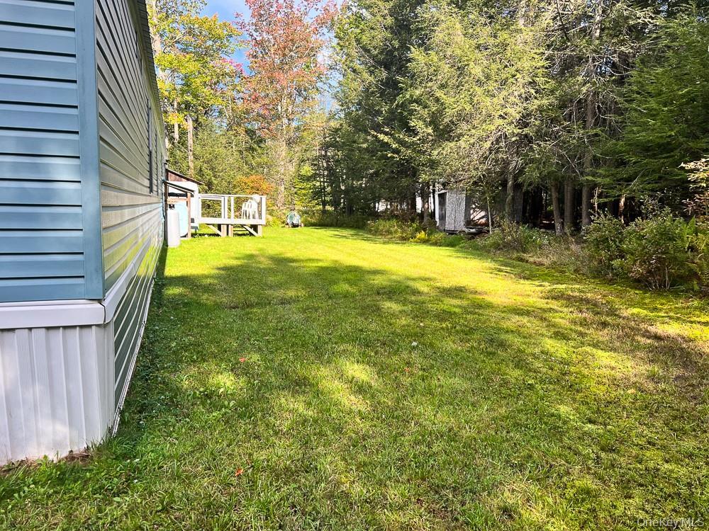 Single Family Seeman Road Sullivan County, NY 12765, MLS-1054329-34