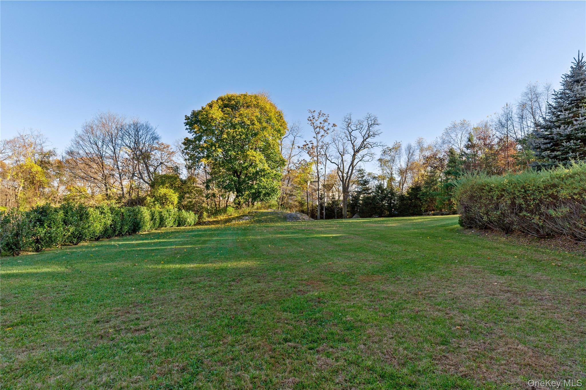 Single Family Knightsbridge Manor Road  Westchester County, NY 10577, MLS-1054360-40