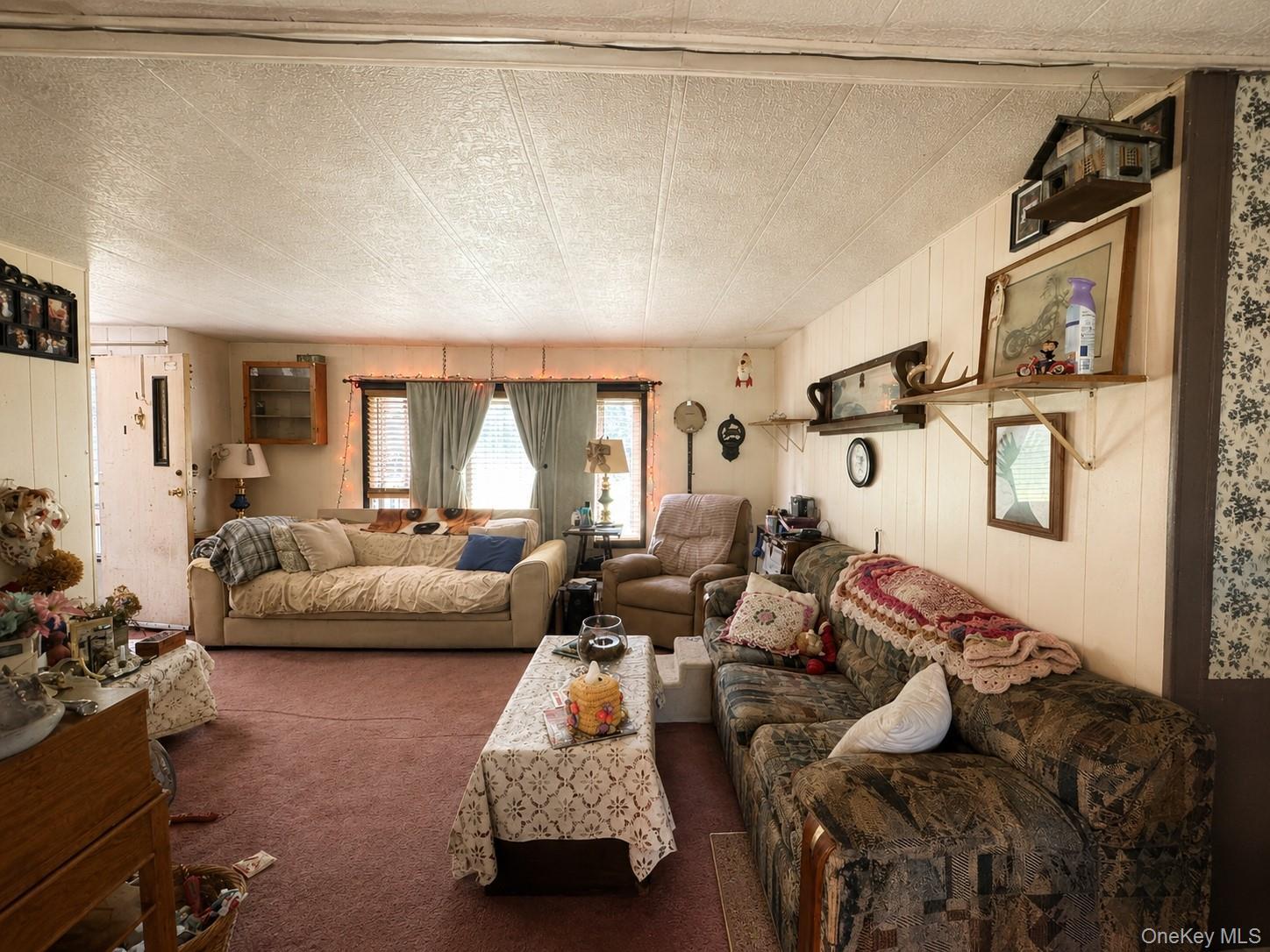 Single Family Cauterskill Road Greene County, NY 12414, MLS-1054391-10