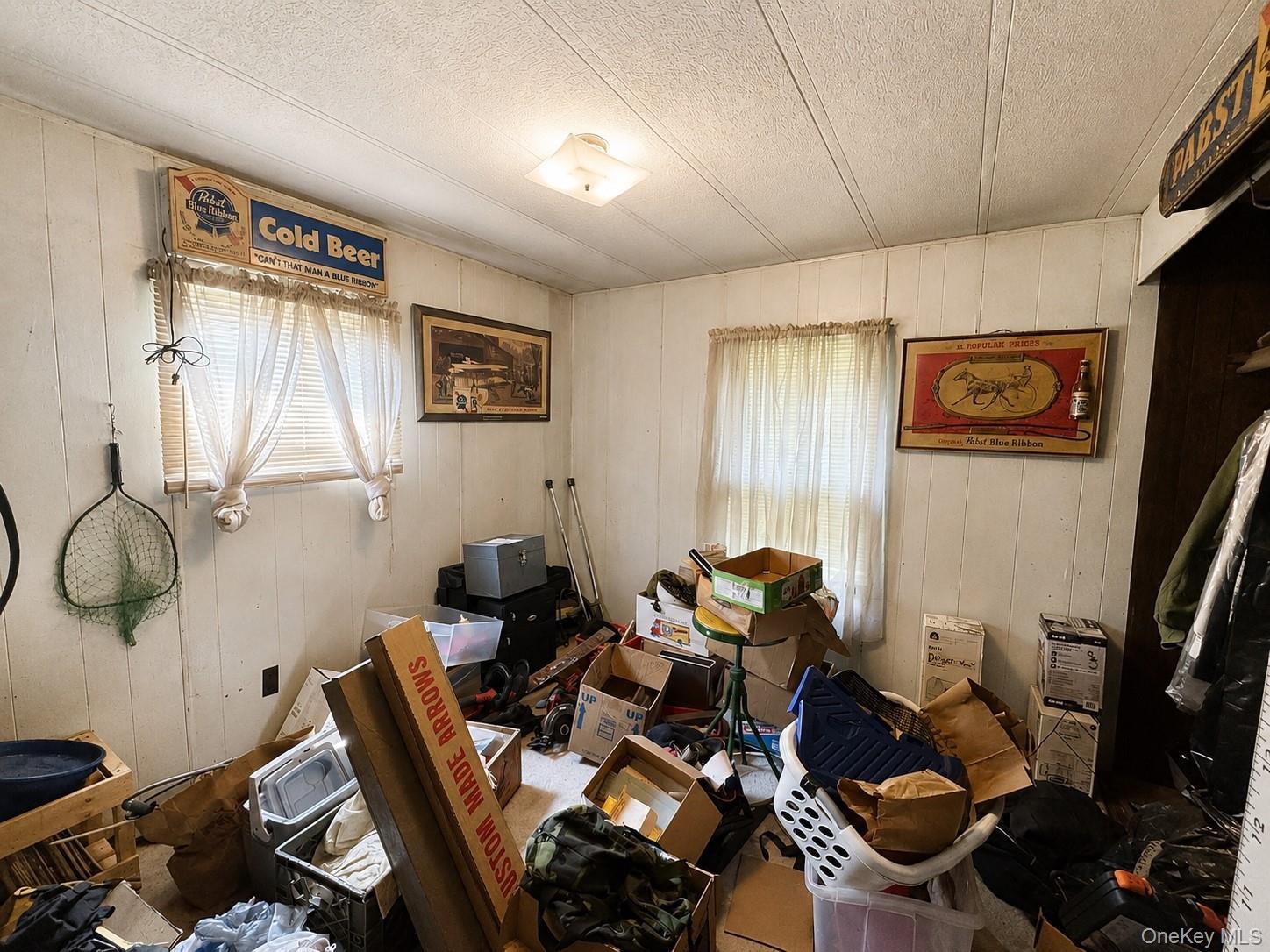 Single Family Cauterskill Road Greene County, NY 12414, MLS-1054391-19
