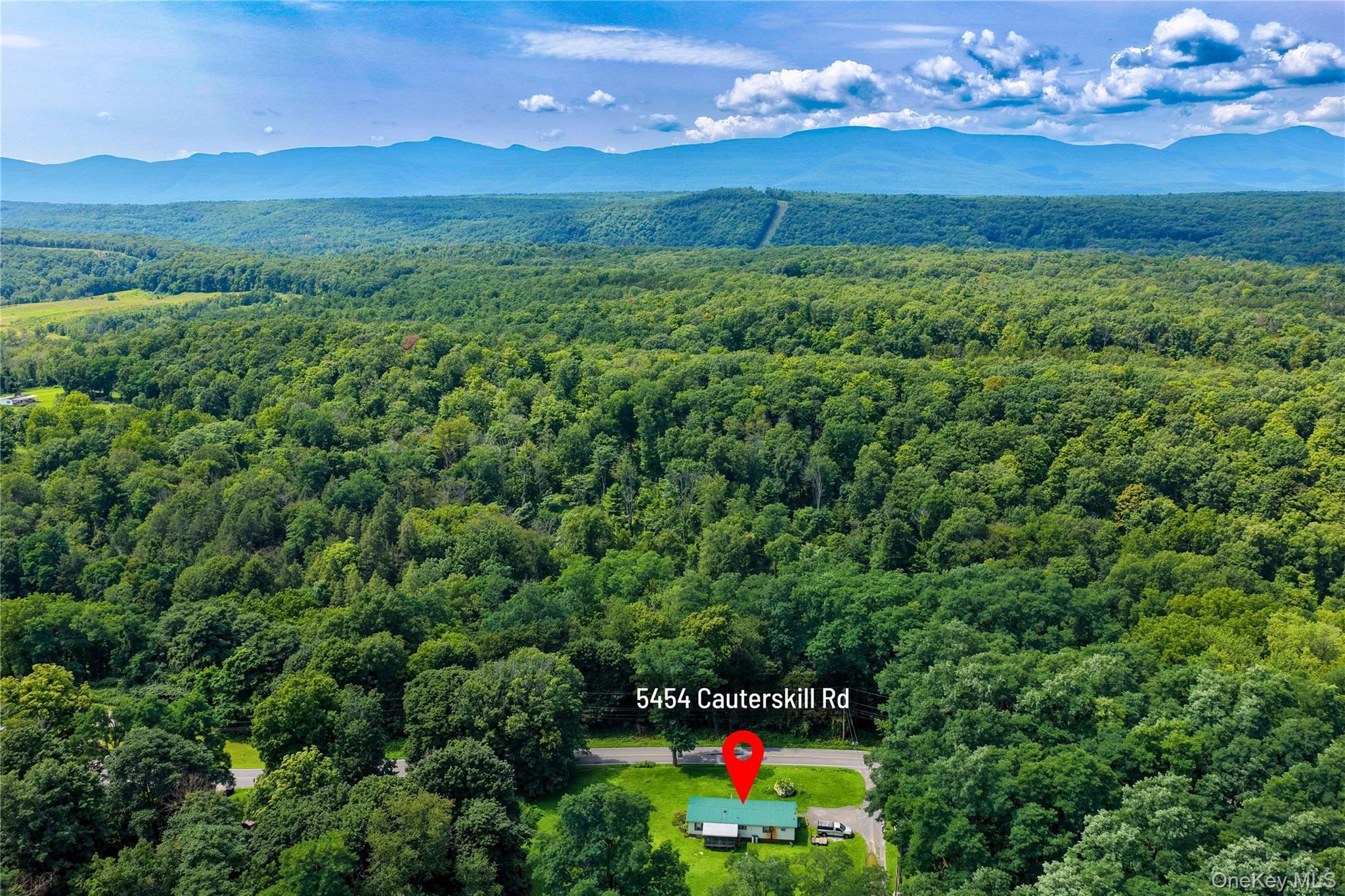 Single Family Cauterskill Road Greene County, NY 12414, MLS-1054391-6