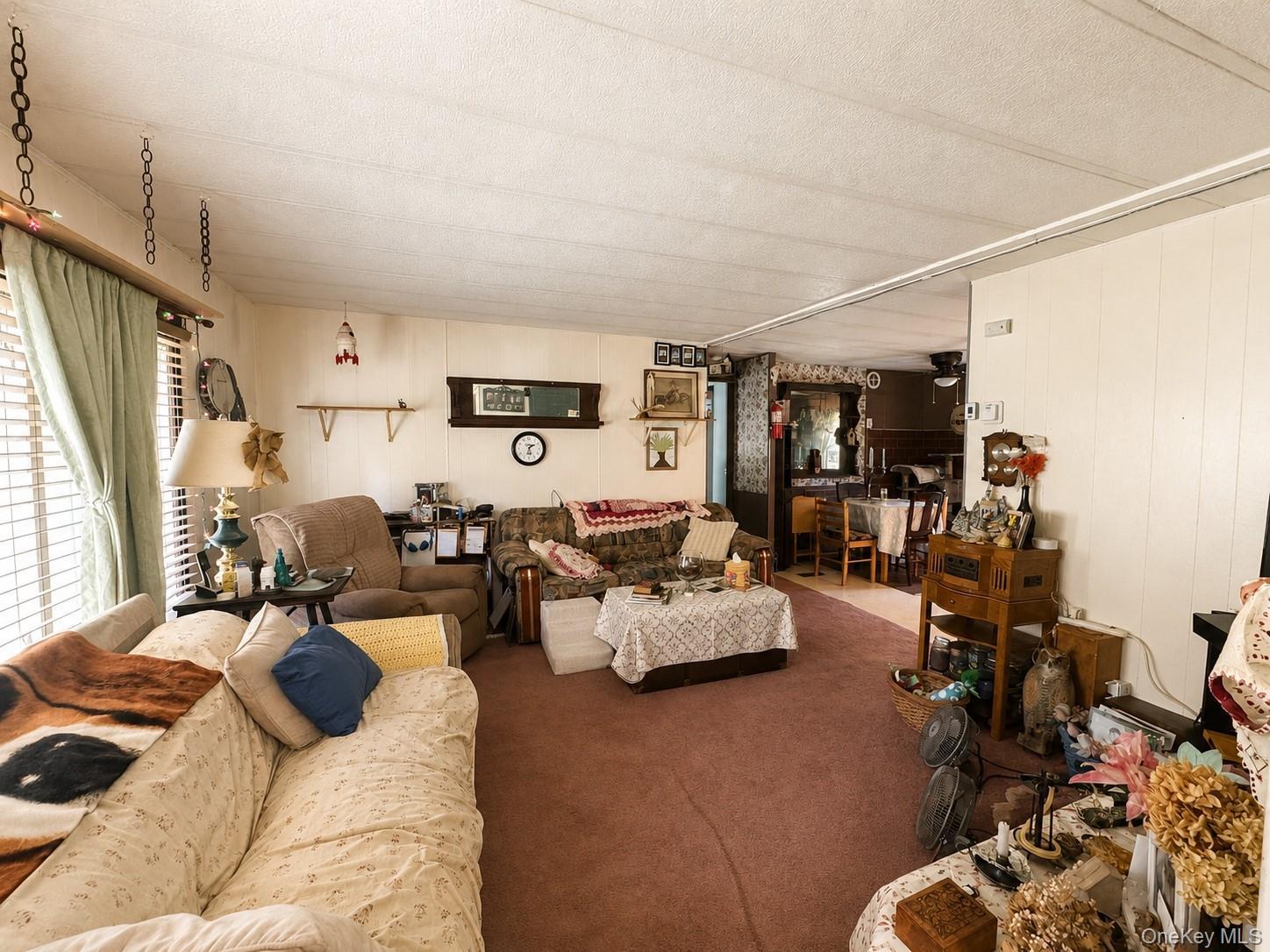 Single Family Cauterskill Road Greene County, NY 12414, MLS-1054391-8