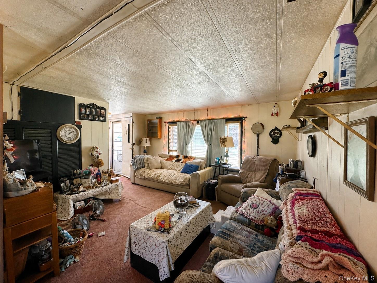 Single Family Cauterskill Road Greene County, NY 12414, MLS-1054391-9