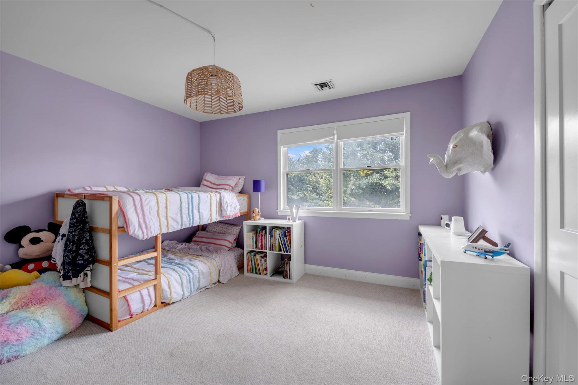Single Family Manfield Avenue  Nassau County, NY 11566, MLS-1054469-22