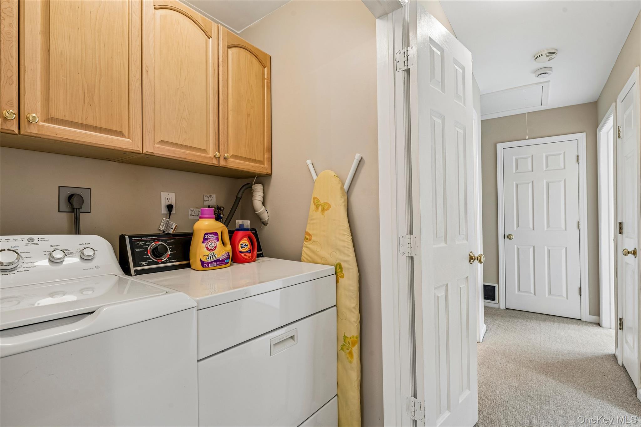 Single Family Linden Street Nassau County, NY 11530, MLS-1054649-19