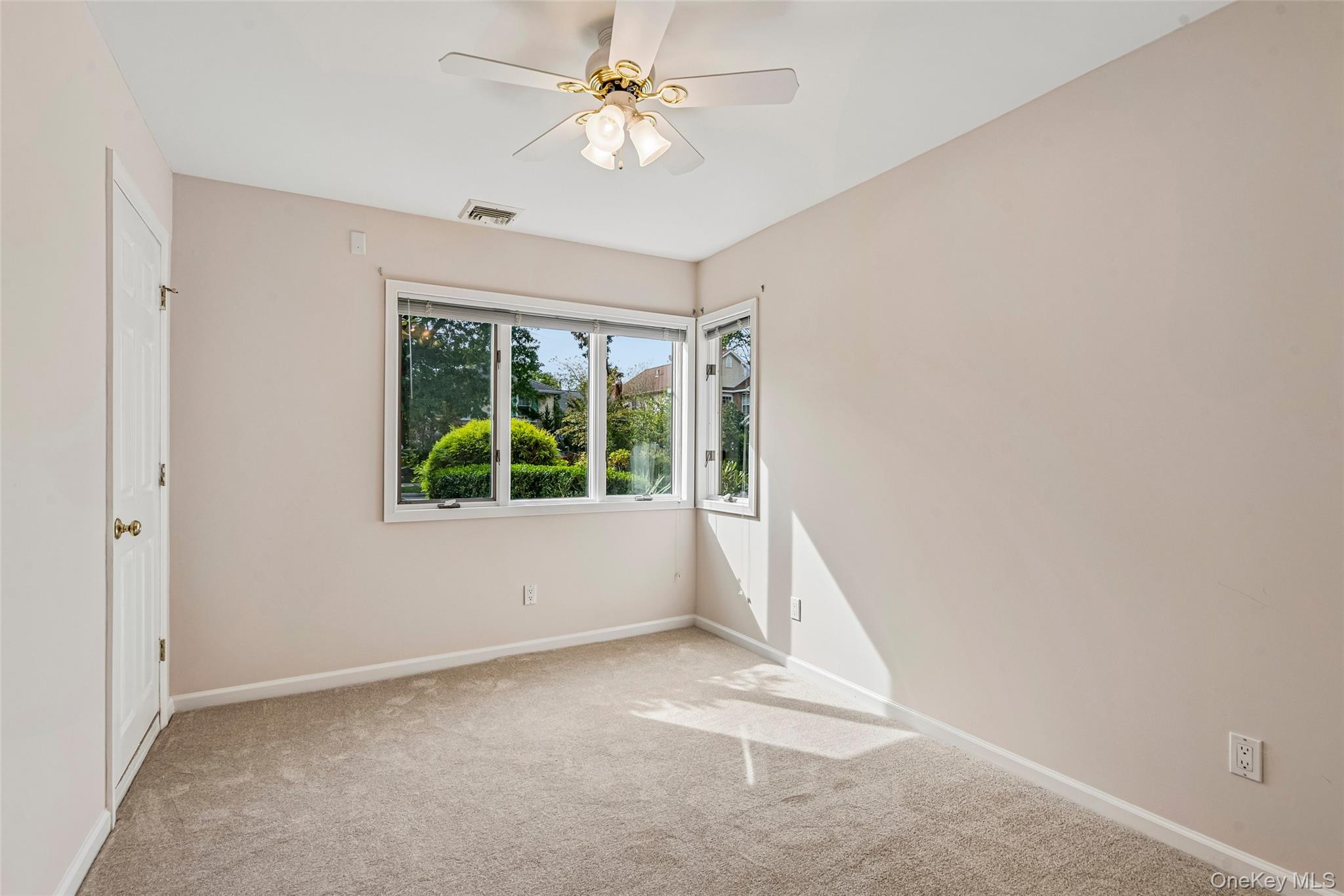 Single Family Linden Street Nassau County, NY 11530, MLS-1054649-20