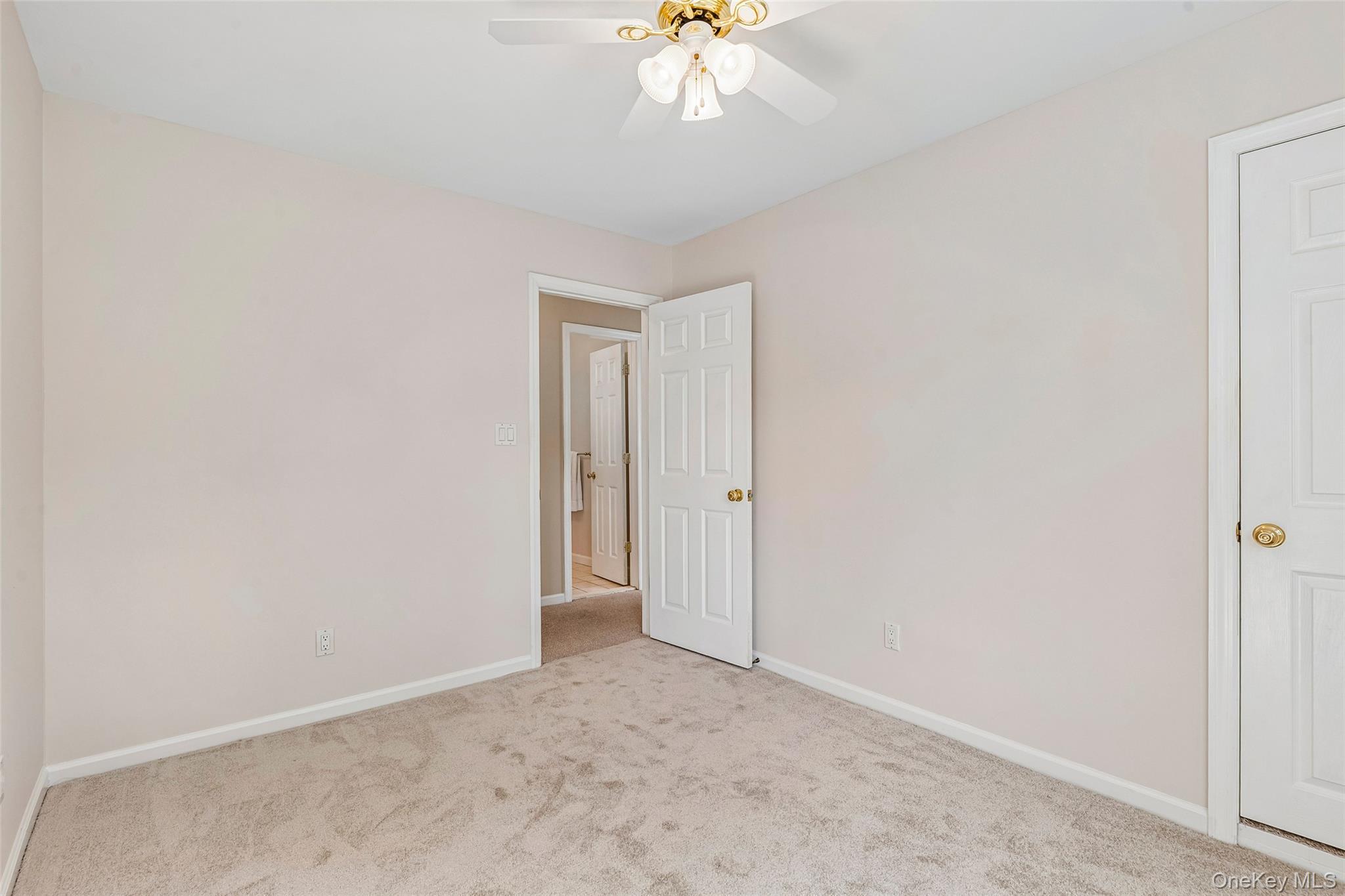 Single Family Linden Street Nassau County, NY 11530, MLS-1054649-21