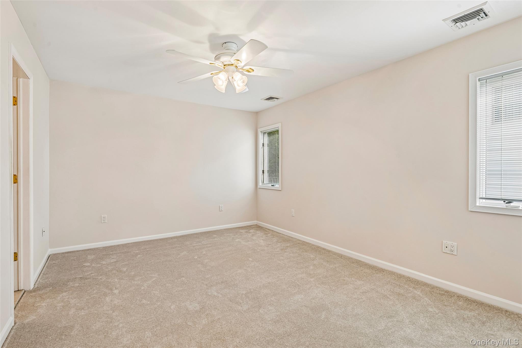 Single Family Linden Street Nassau County, NY 11530, MLS-1054649-23