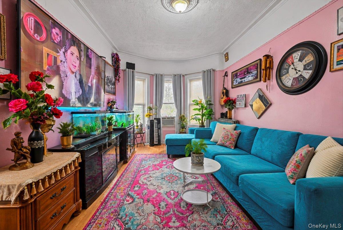 Single Family Crescent  Brooklyn, NY 11208, MLS-1054653-5