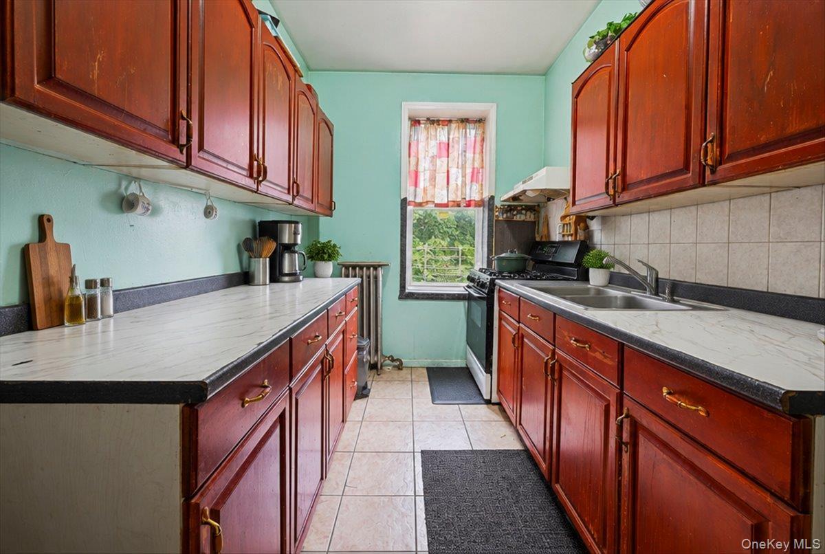 Single Family Crescent  Brooklyn, NY 11208, MLS-1054653-7