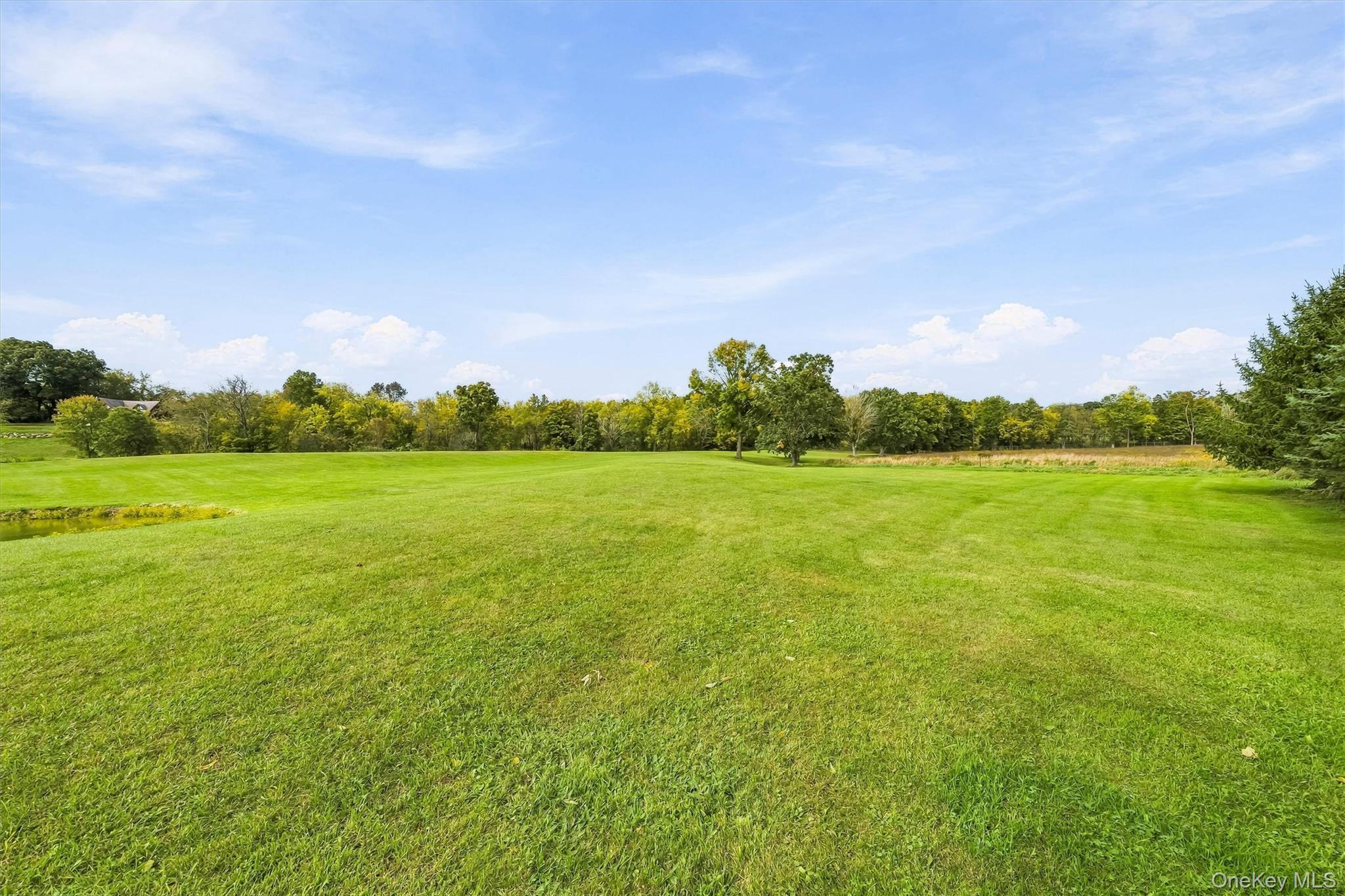 Single Family Mt Orange Road Orange County, NY 10940, MLS-1054660-47