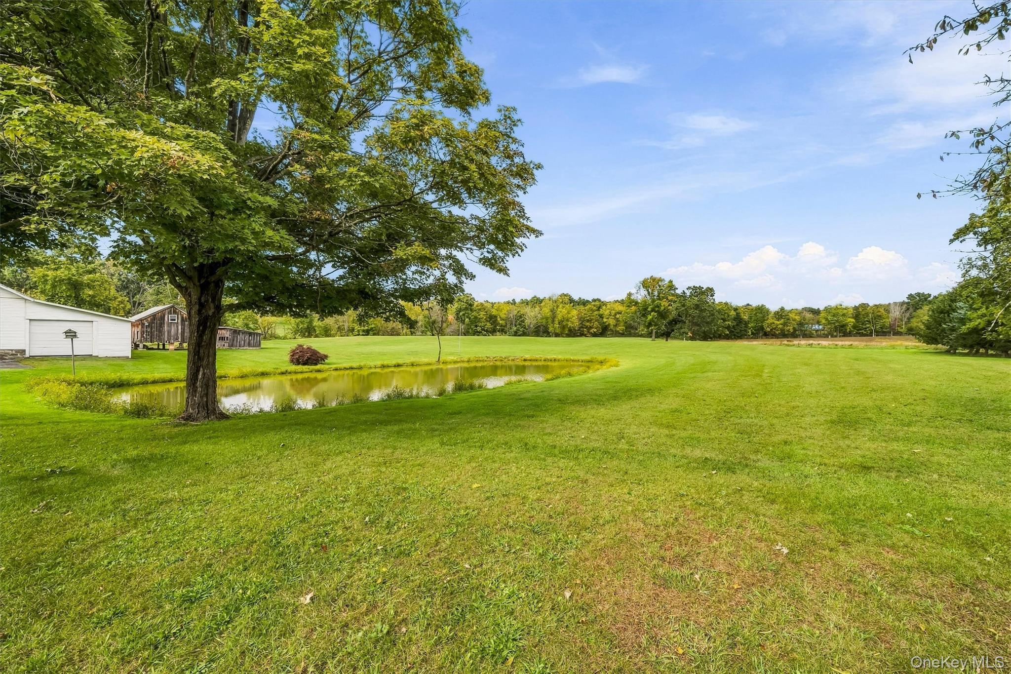 Single Family Mt Orange Road Orange County, NY 10940, MLS-1054660-48