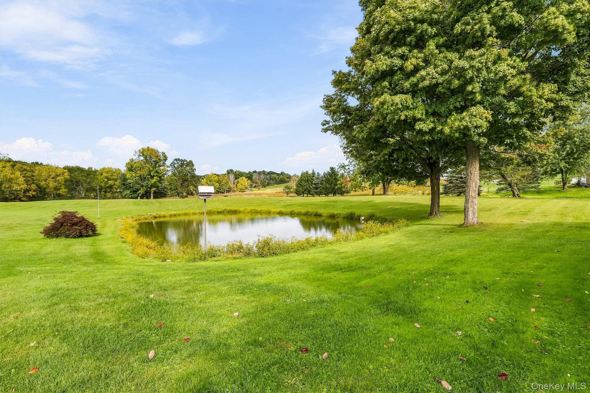 Single Family Mt Orange Road  Orange County, NY 10940, MLS-1054660-49