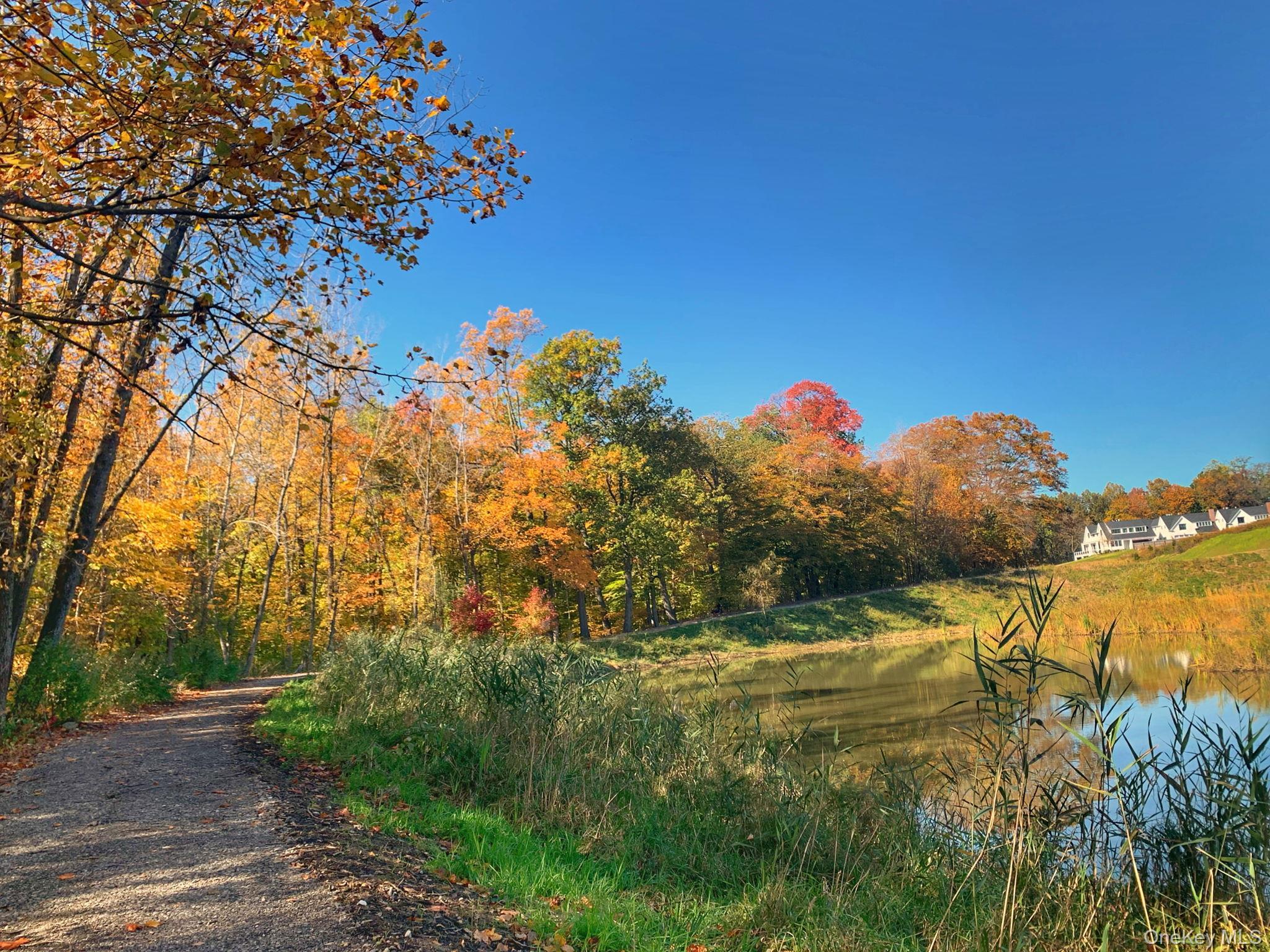 Single Family Honeysuckle Lane  Westchester County, NY 10573, MLS-1054676-46