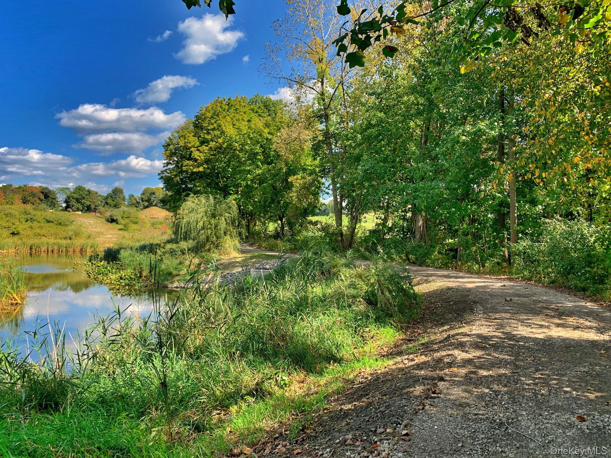 Single Family Honeysuckle Lane  Westchester County, NY 10573, MLS-1054676-47