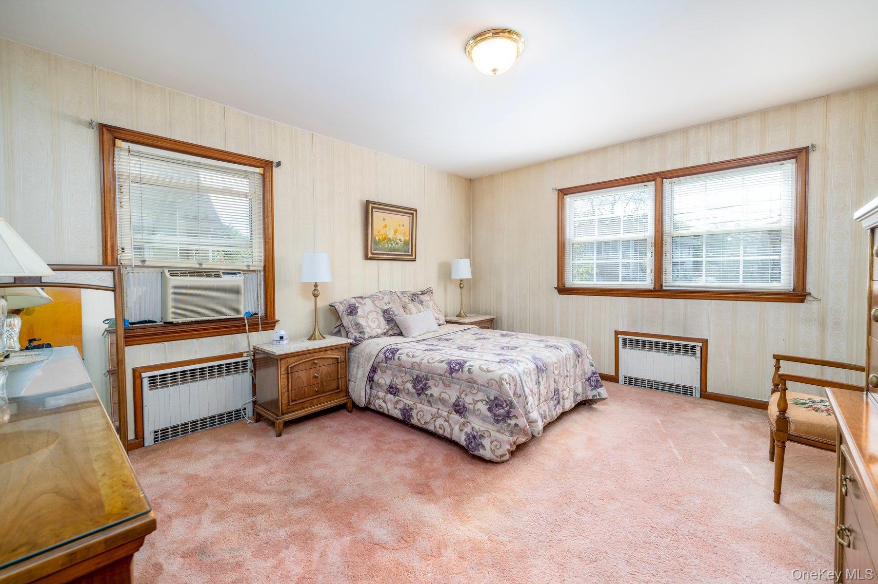 Single Family E Carpenter Street  Nassau County, NY 11580, MLS-1054694-13