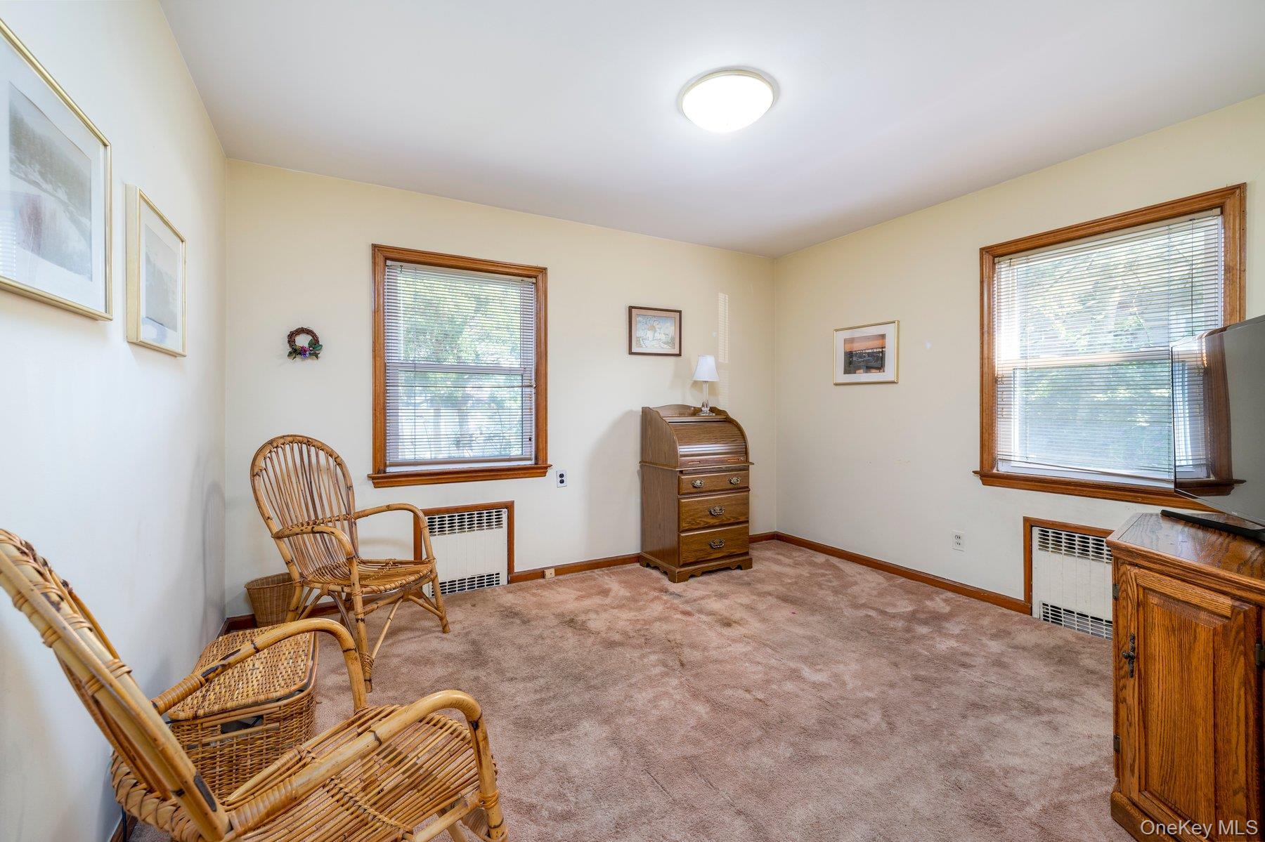 Single Family E Carpenter Street  Nassau County, NY 11580, MLS-1054694-15