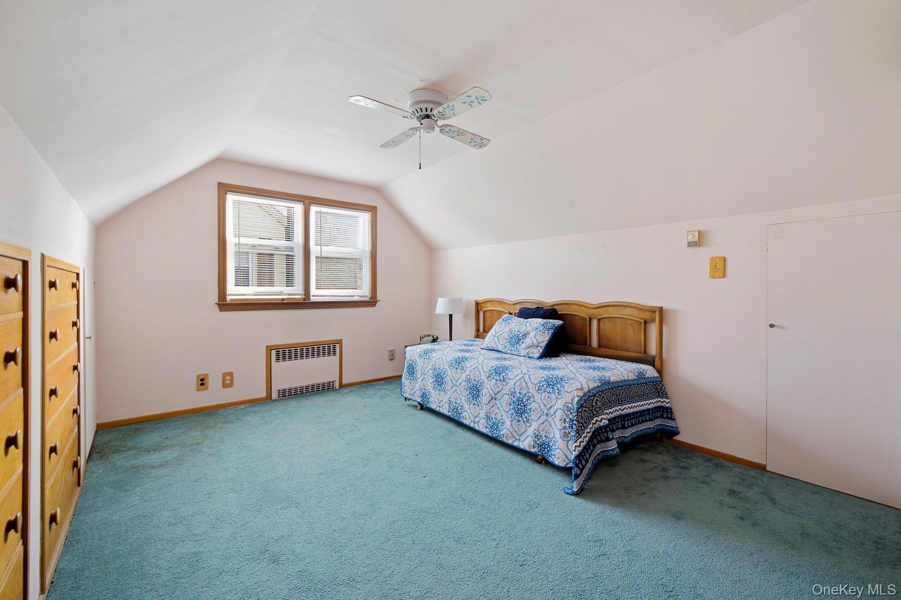 Single Family E Carpenter Street  Nassau County, NY 11580, MLS-1054694-19