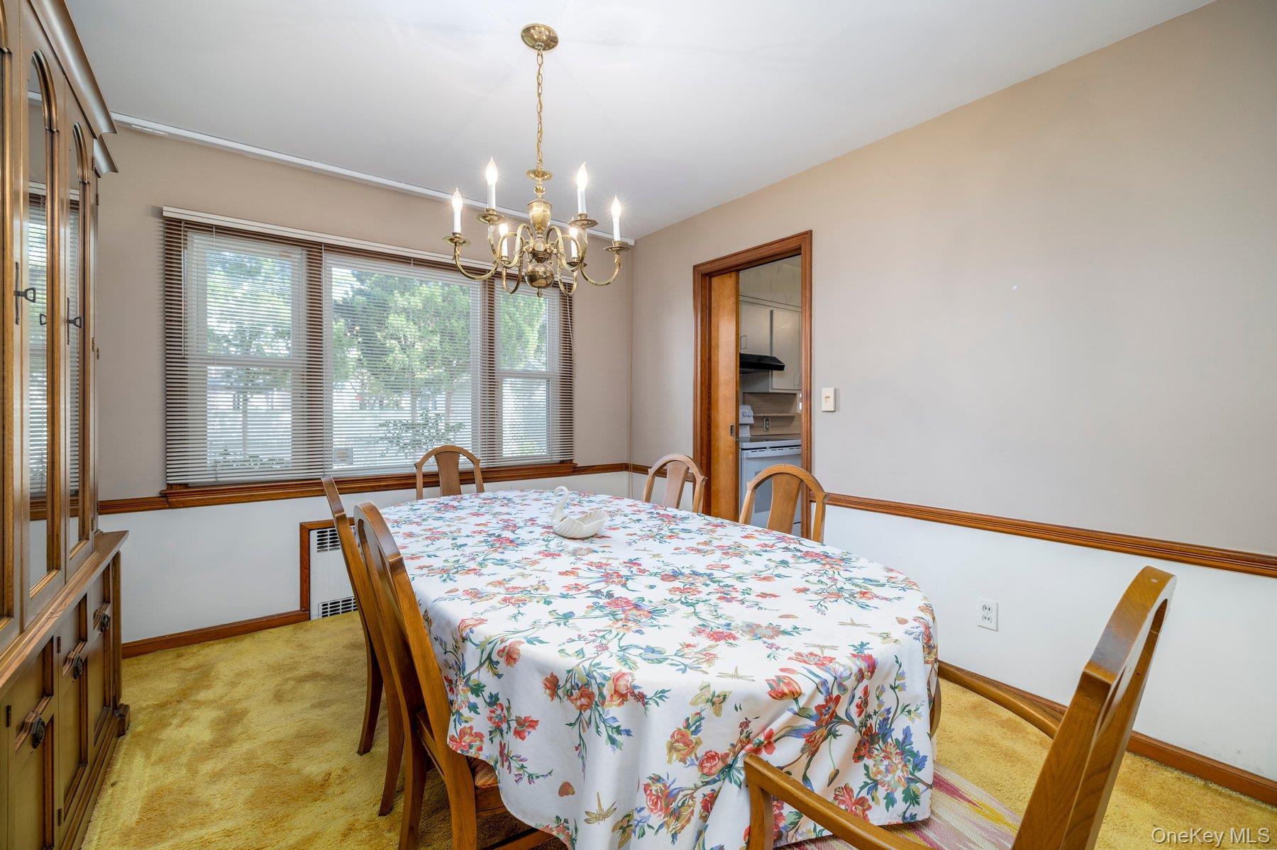 Single Family E Carpenter Street  Nassau County, NY 11580, MLS-1054694-9