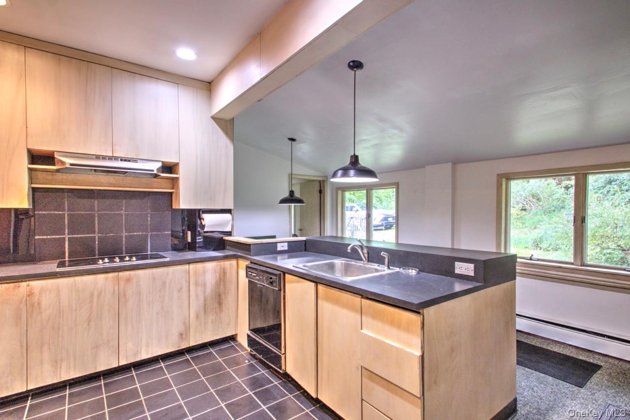 Single Family Osseo Park Road Orange County, NY 10950, MLS-1054704-5