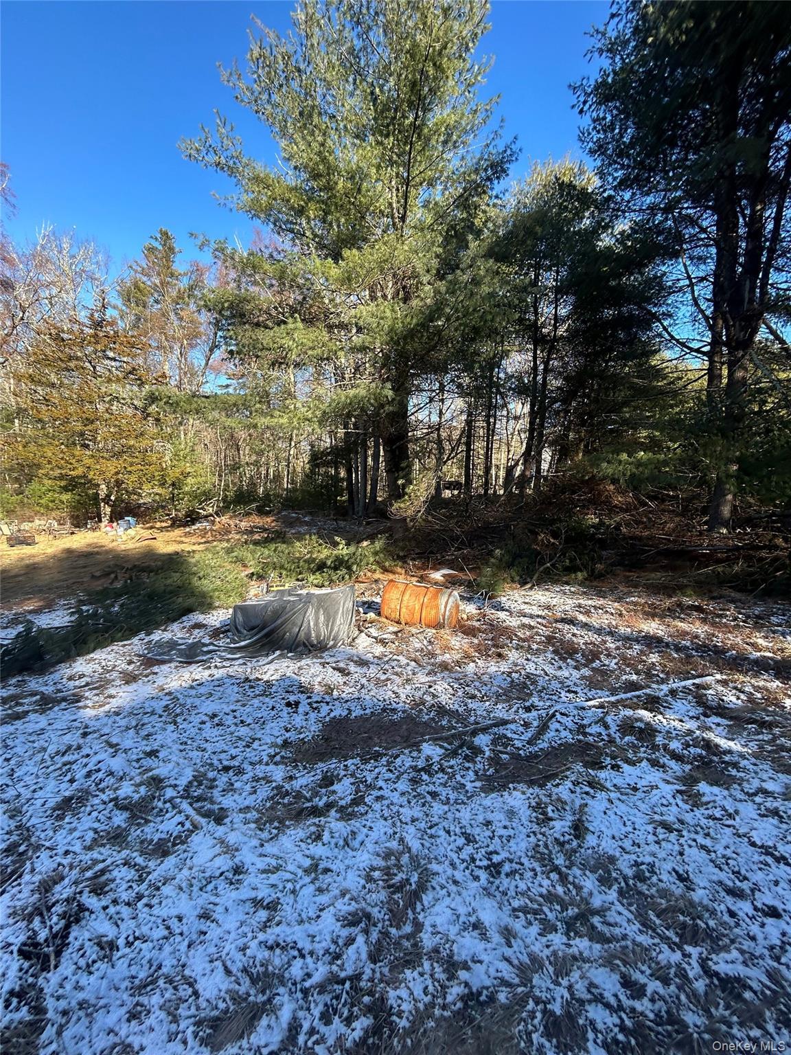 Single Family Whitehead Road Orange County, NY 12780, MLS-1054717-13