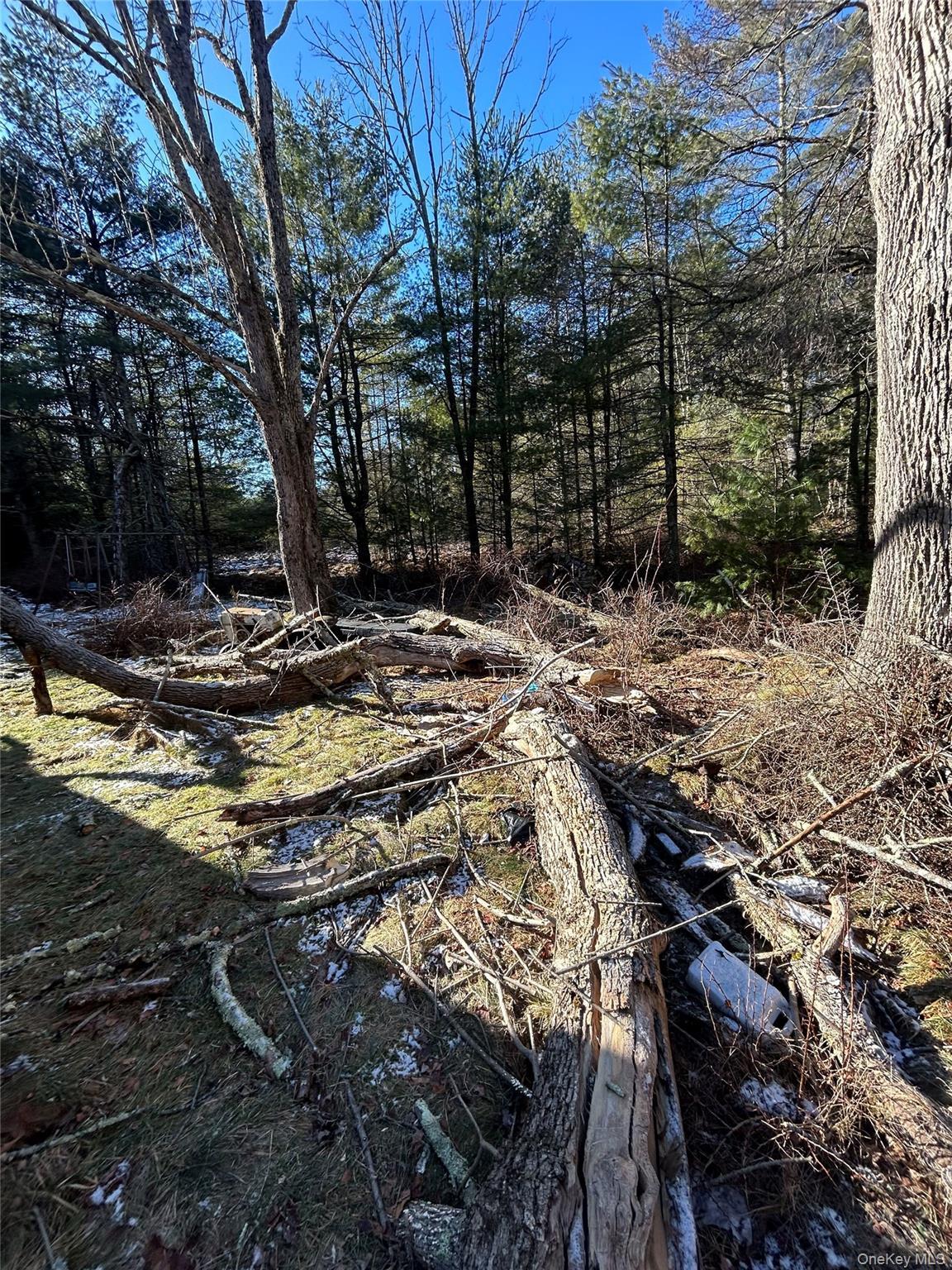 Single Family Whitehead Road Orange County, NY 12780, MLS-1054717-21