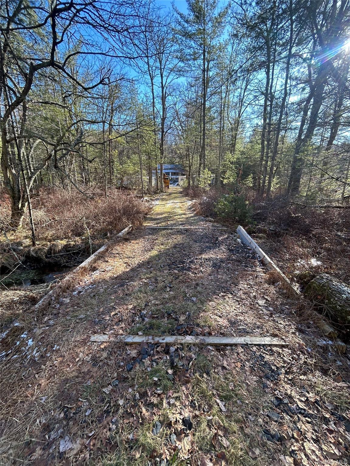 Single Family Whitehead Road Orange County, NY 12780, MLS-1054717-22