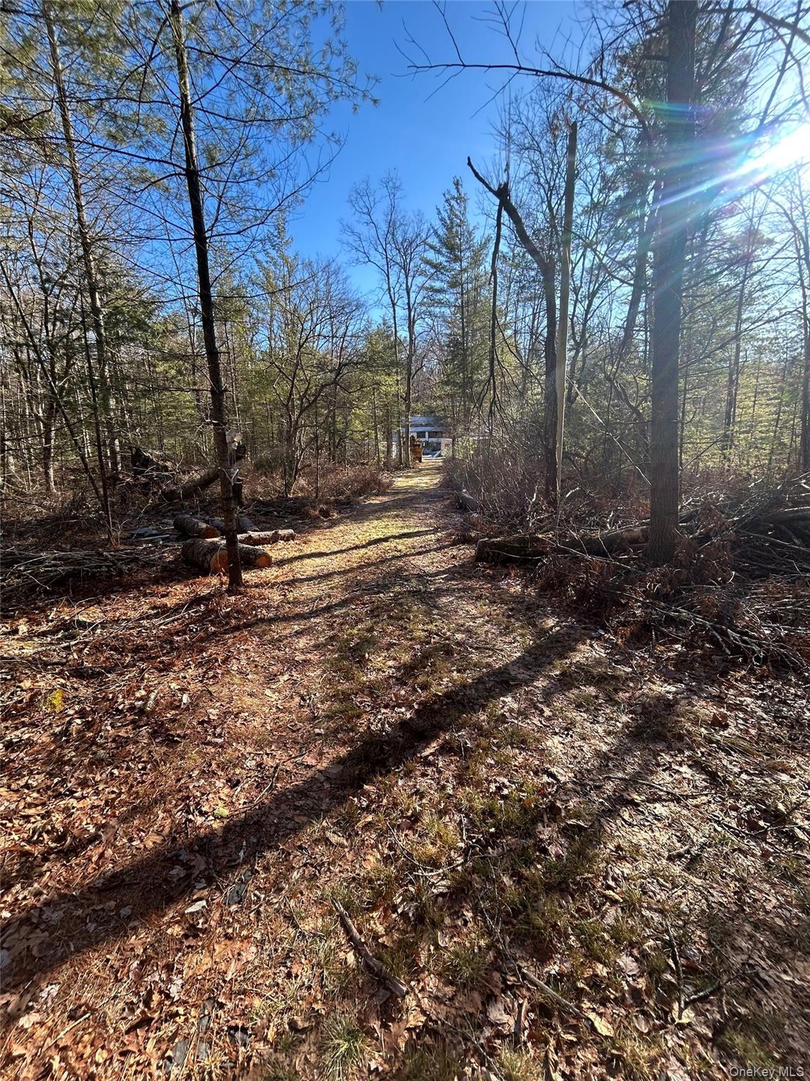 Single Family Whitehead Road  Orange County, NY 12780, MLS-1054717-23