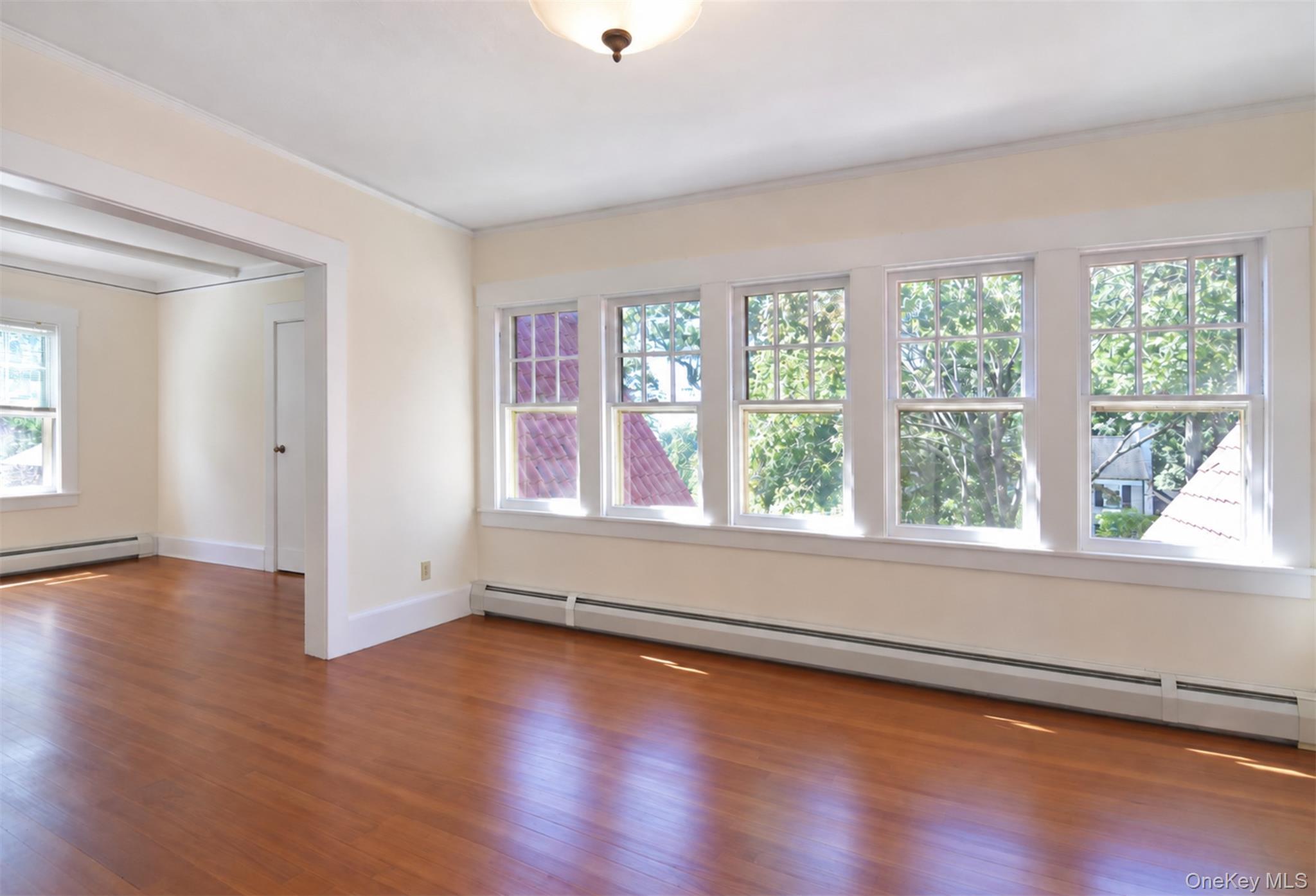 Single Family Young Avenue  Westchester County, NY 10803, MLS-1054724-18