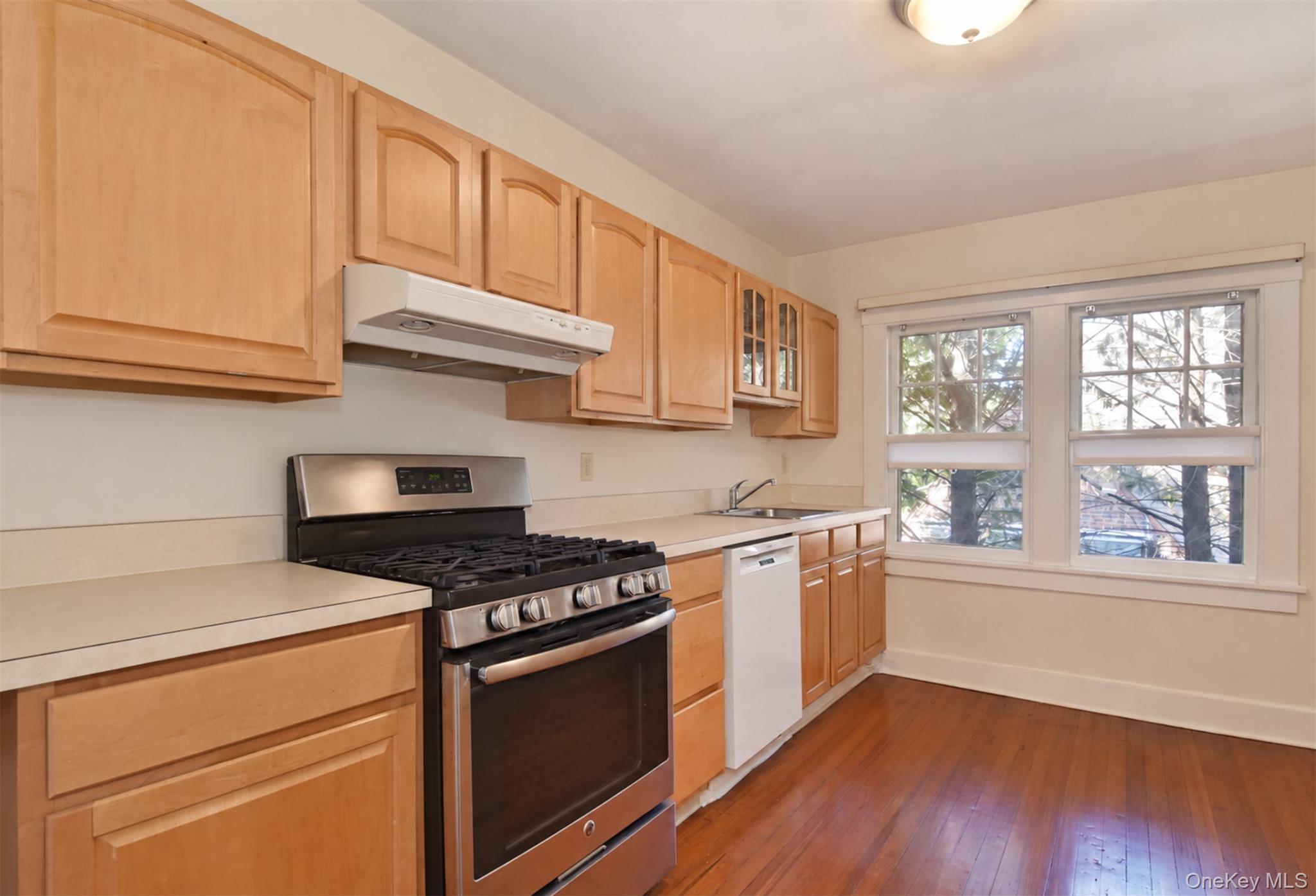 Single Family Young Avenue  Westchester County, NY 10803, MLS-1054724-20