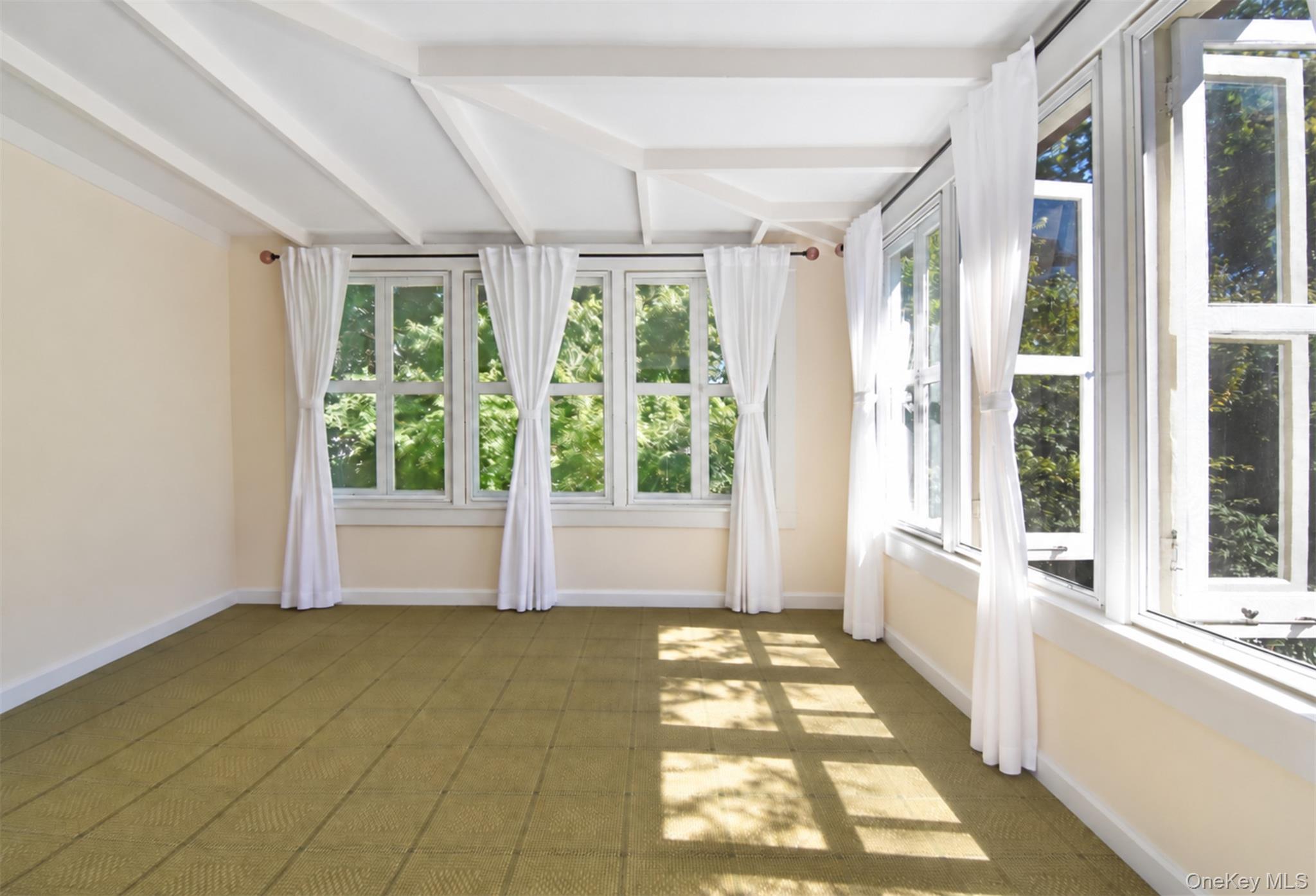 Single Family Young Avenue  Westchester County, NY 10803, MLS-1054724-21