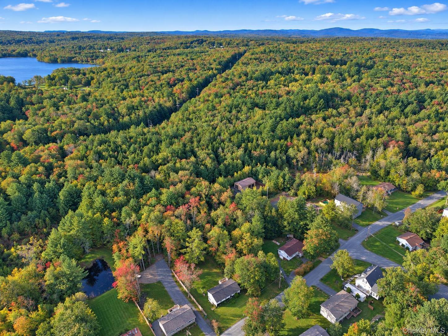 Single Family Quiat Road Sullivan County, NY 12763, MLS-1054837-3