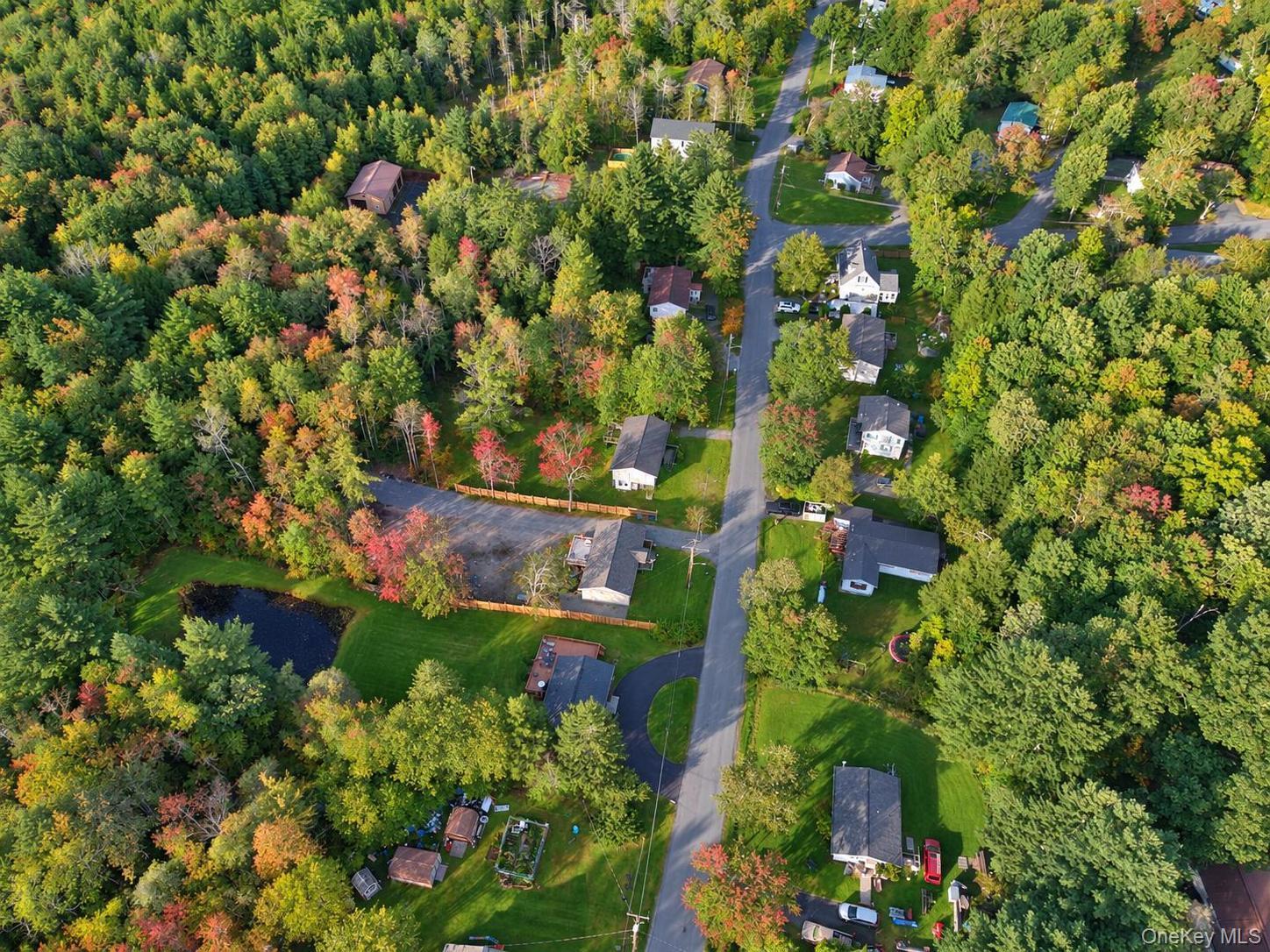 Single Family Quiat Road Sullivan County, NY 12763, MLS-1054837-4