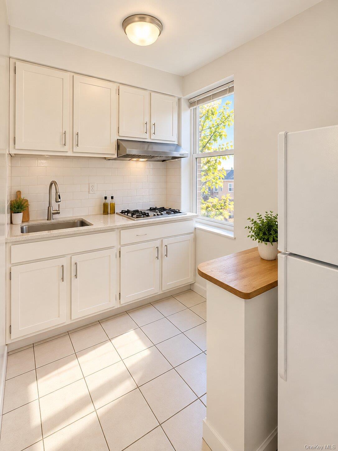Single Family 60th Street Brooklyn, NY 11204, MLS-1054861-35