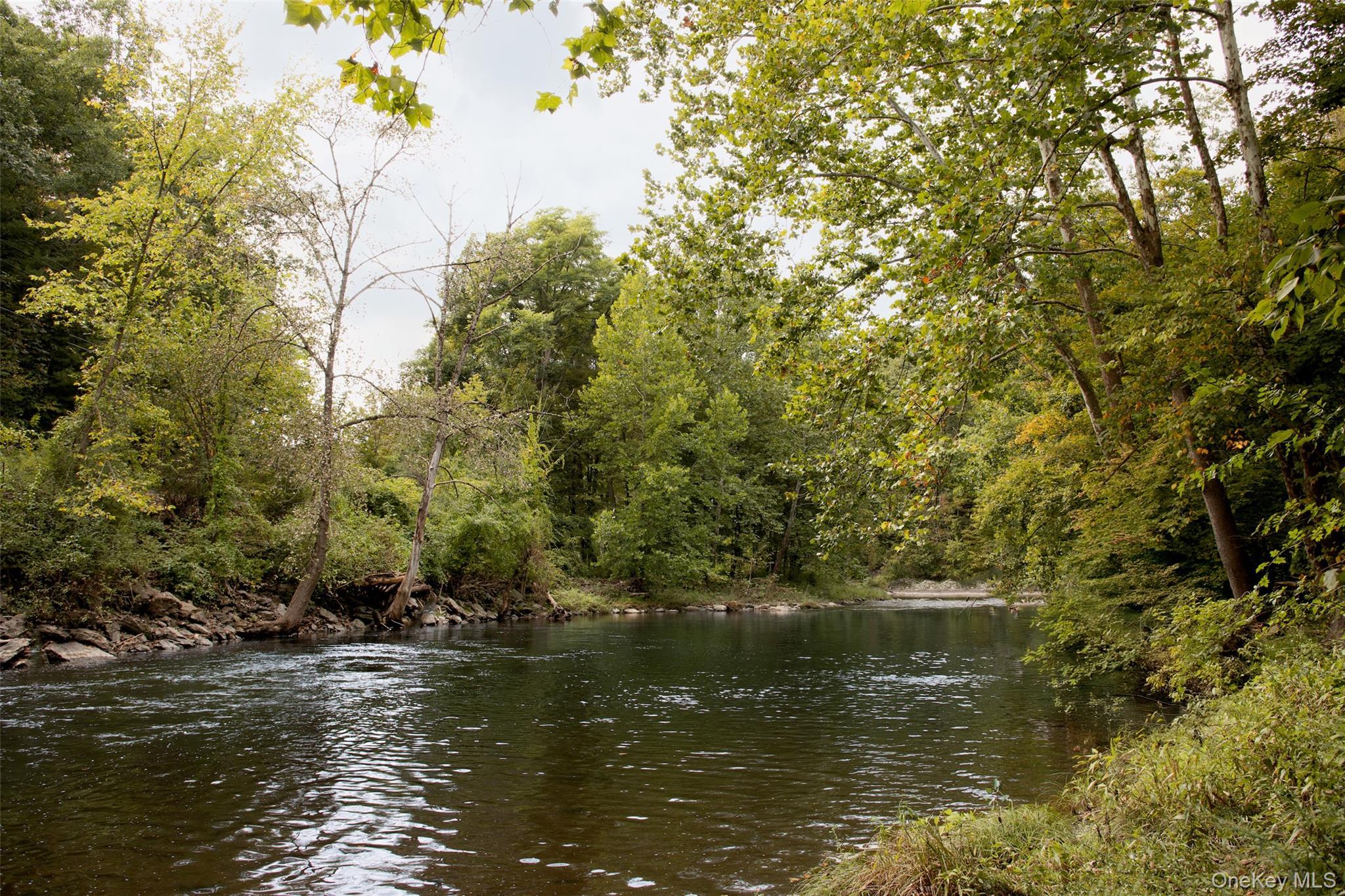Single Family Bachus Road Columbia County, NY 12123, MLS-1054886-49