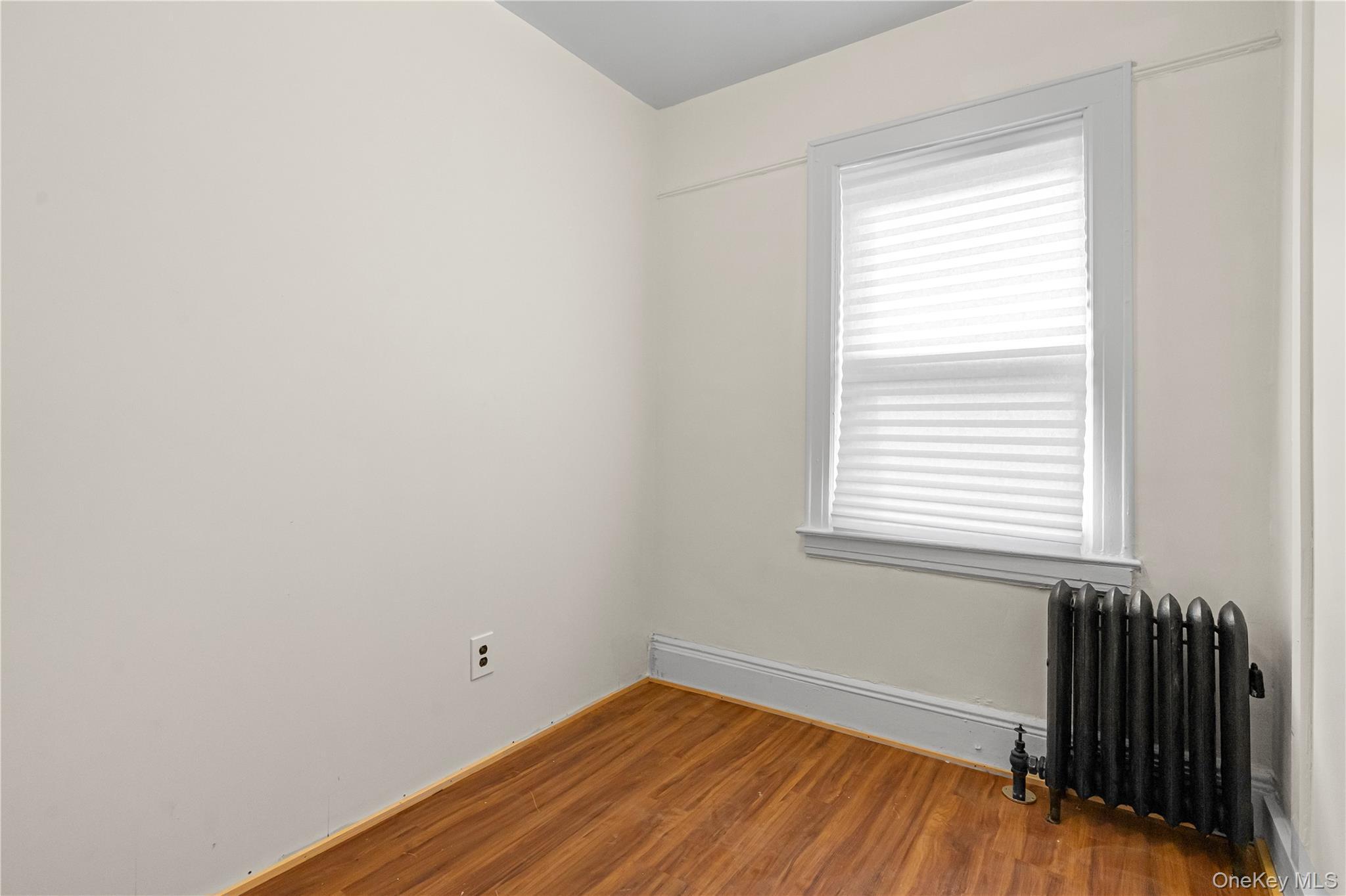 Single Family Glassboro Avenue  Queens, NY 11435, MLS-1054920-9