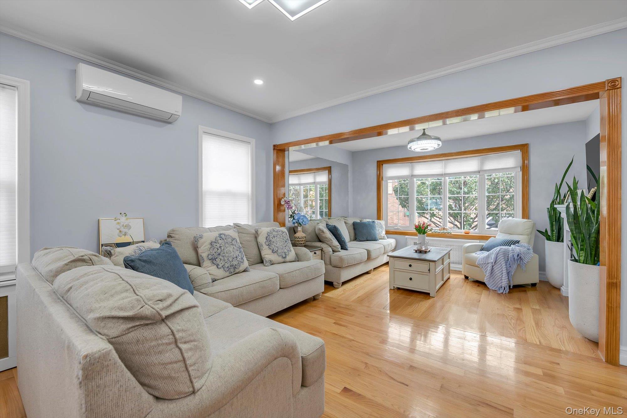 Single Family 1st Street Nassau County, NY 11040, MLS-1054943-3