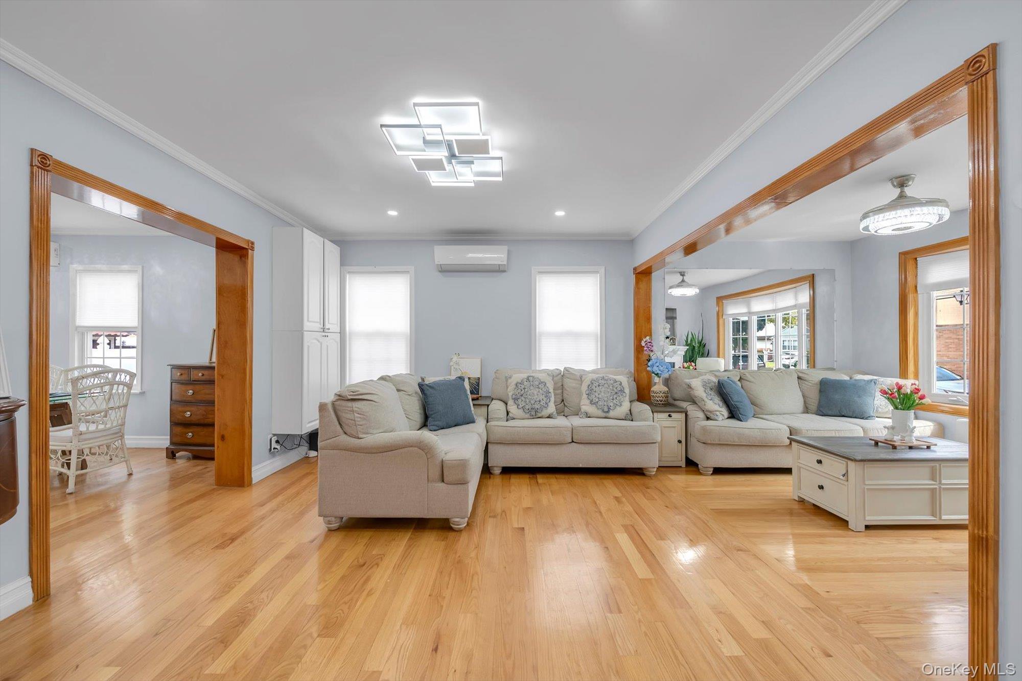 Single Family 1st Street Nassau County, NY 11040, MLS-1054943-4