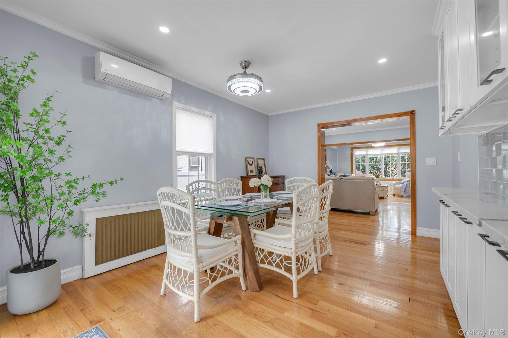 Single Family 1st Street Nassau County, NY 11040, MLS-1054943-5