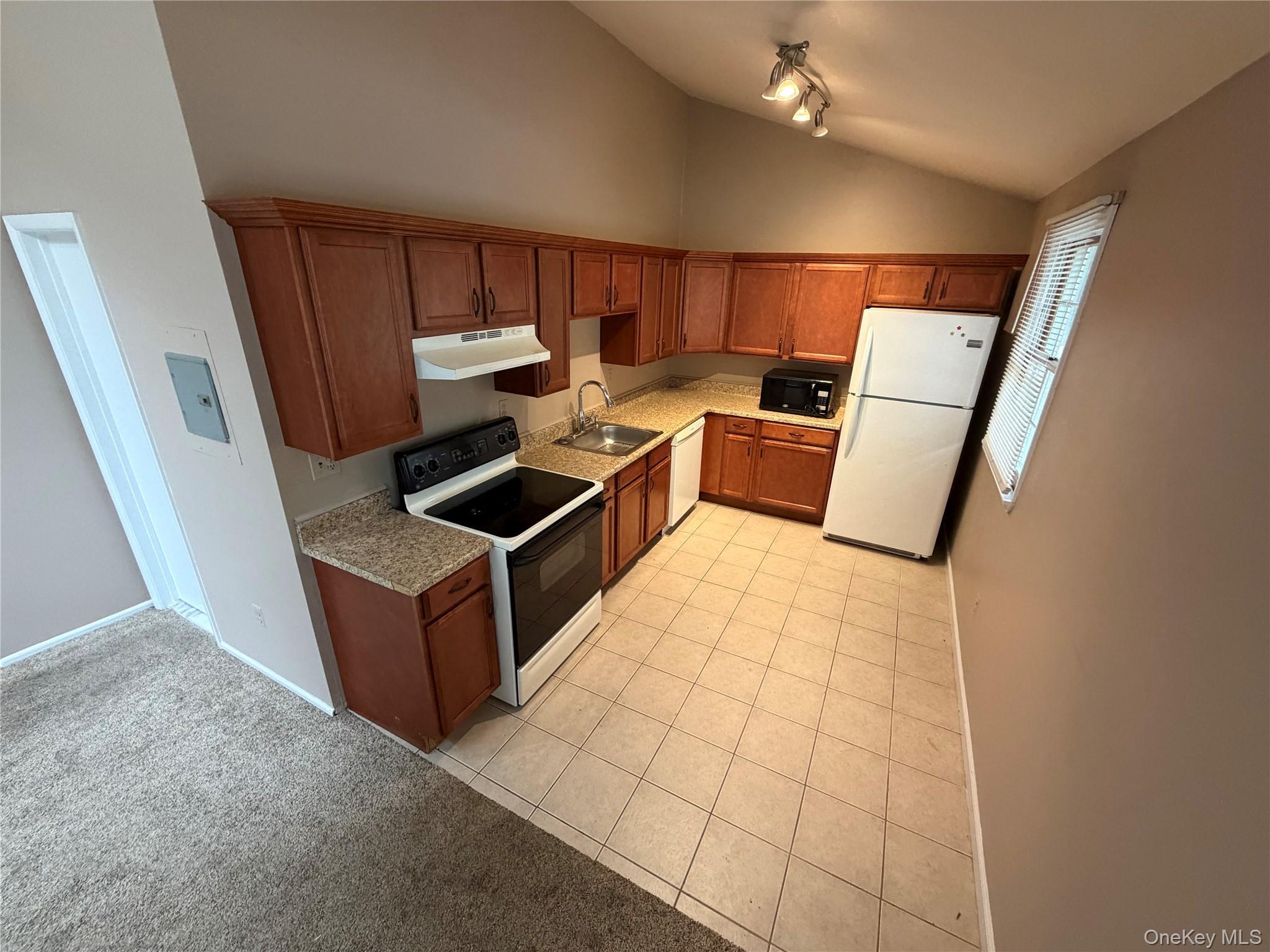 Single Family Connetquot Avenue Suffolk County, NY 11722, MLS-1054965-8