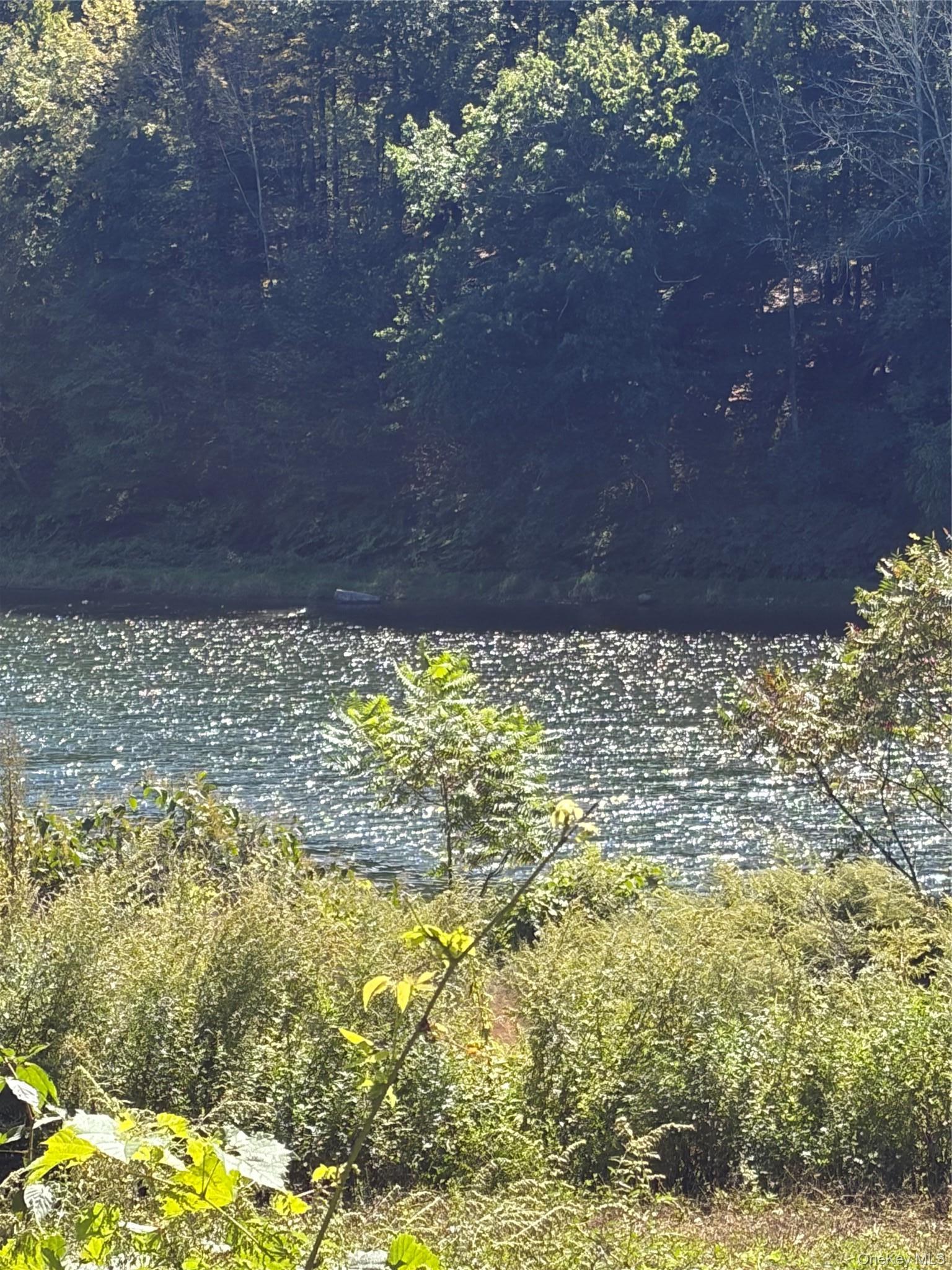 Single Family Acid Factory Road Delaware County, NY 12760, MLS-1054988-7